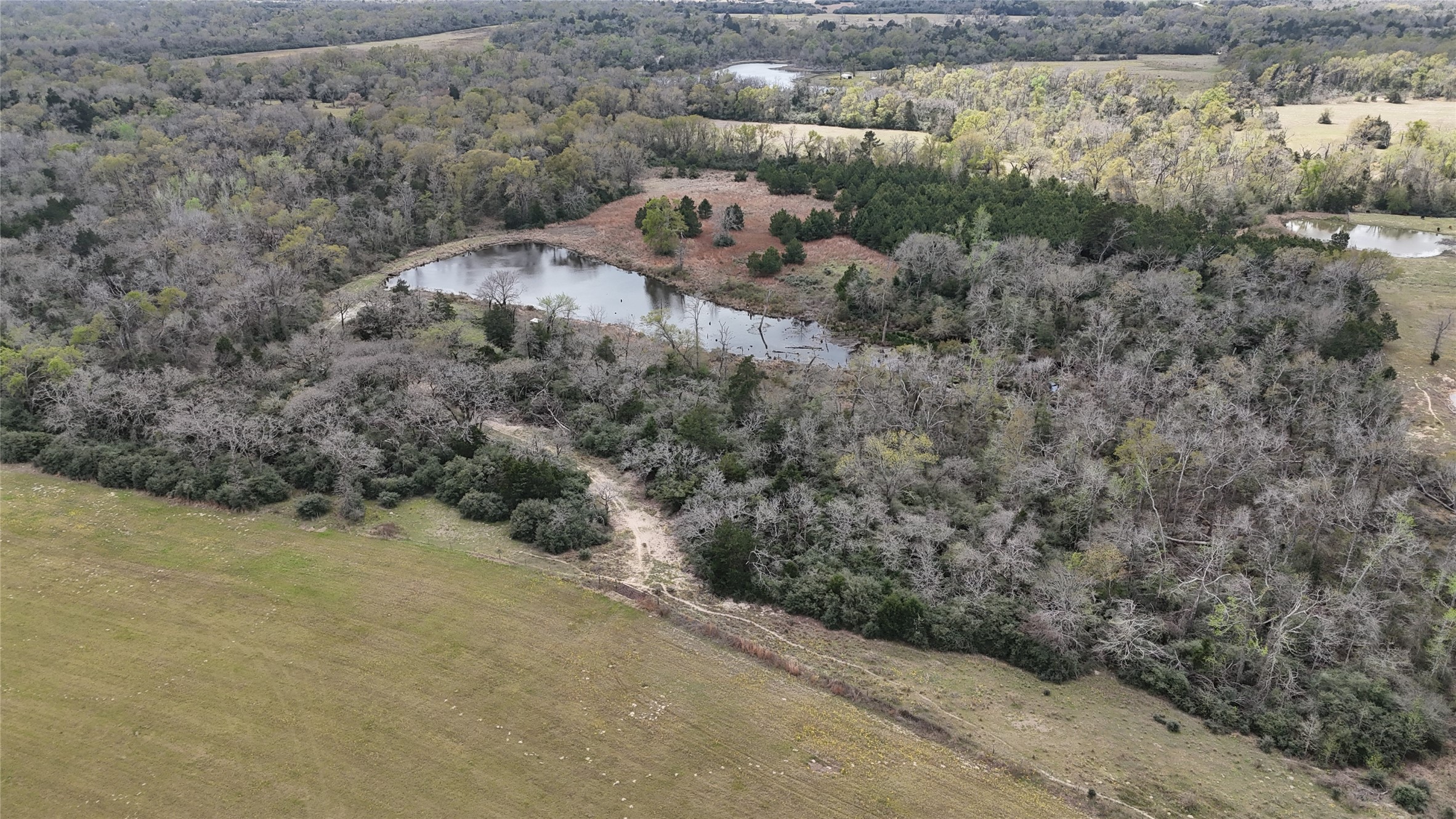 0 County Road 418 Property Photo 4