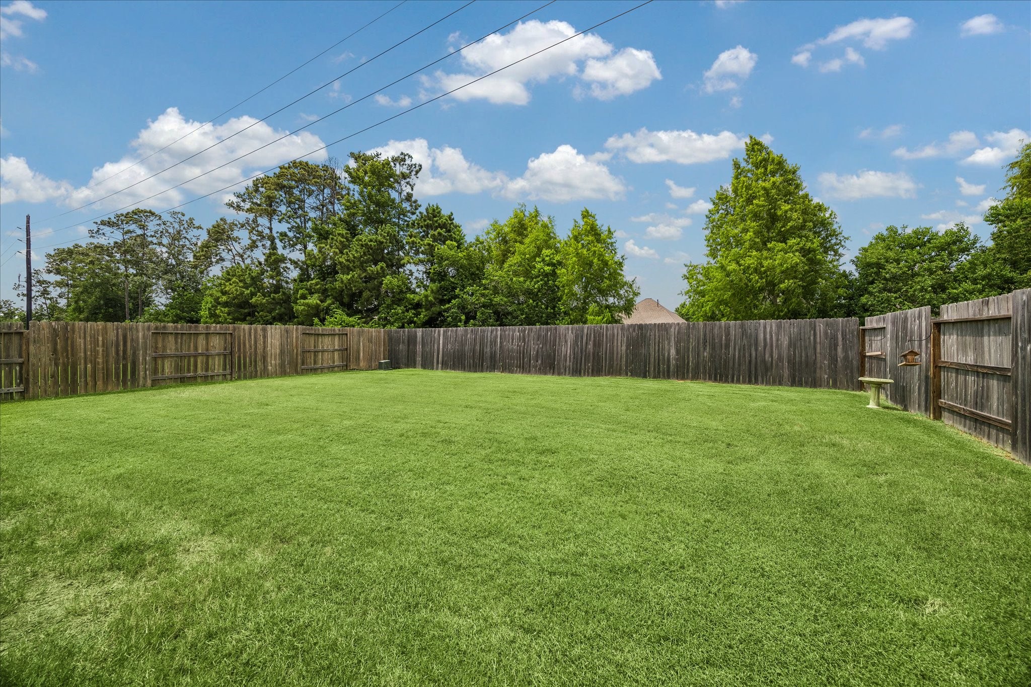 12531 Tullich Run Drive Property Photo 31