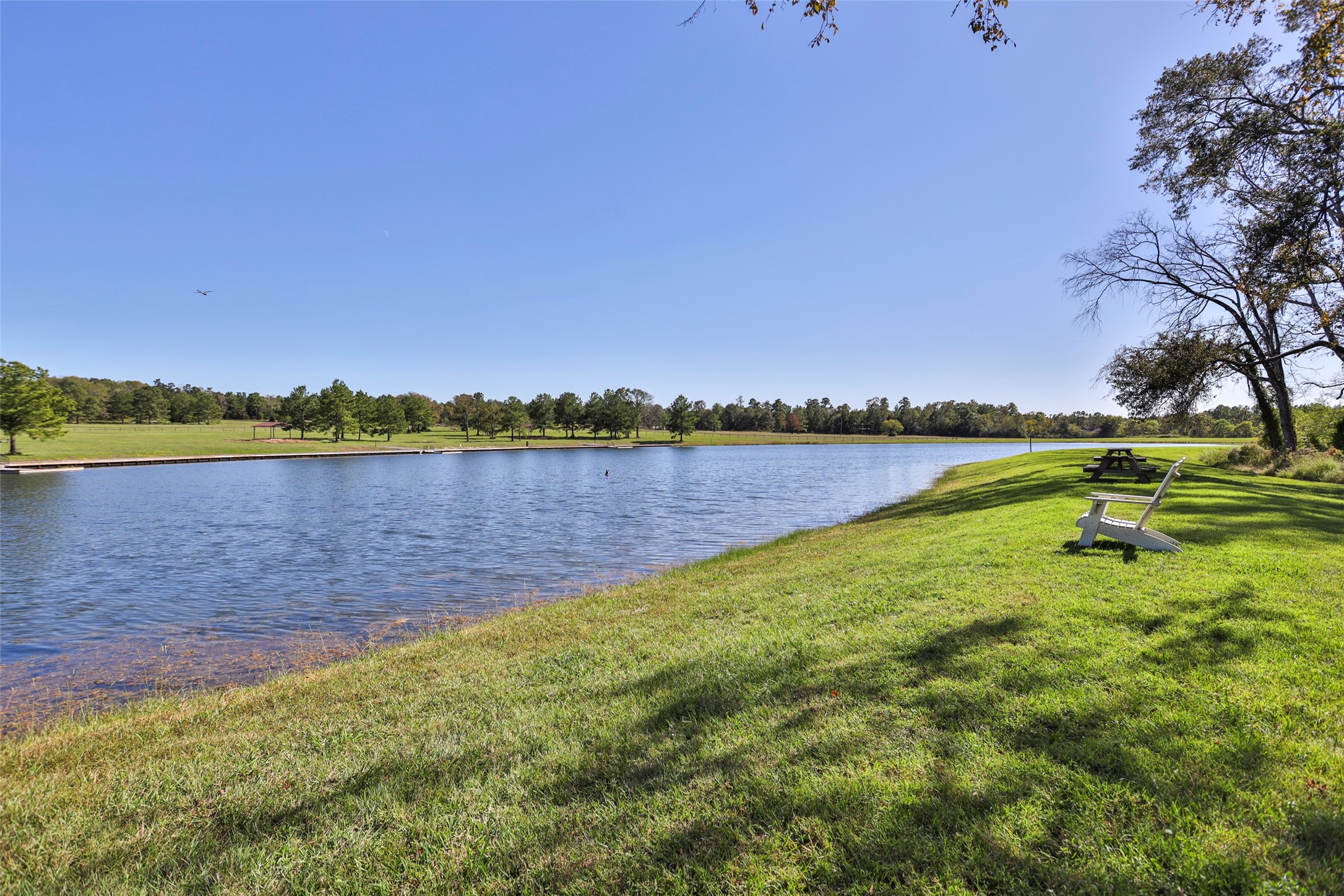 15409 Forest Grove Drive Property Photo 7