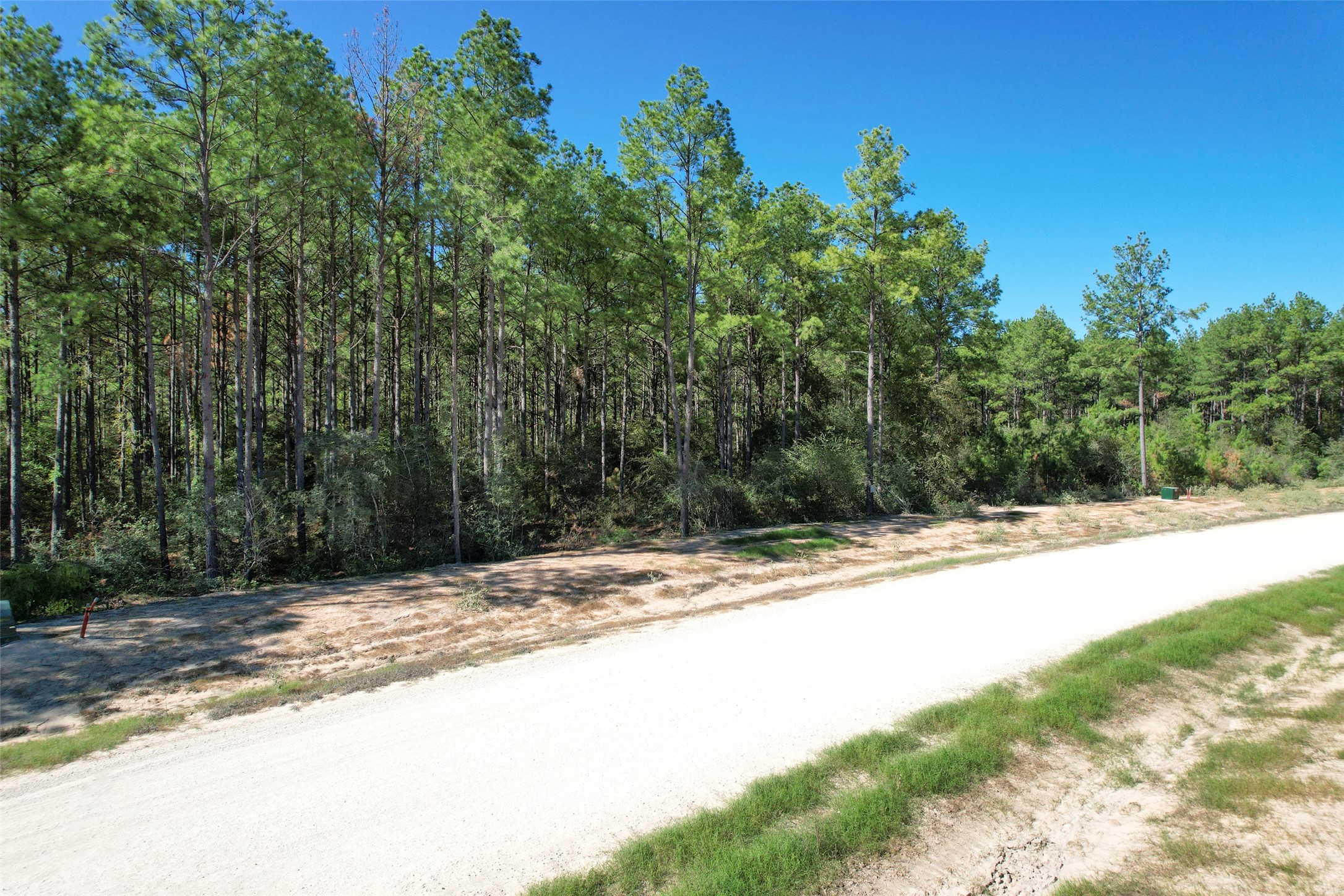 15409 Forest Grove Drive Property Photo 10