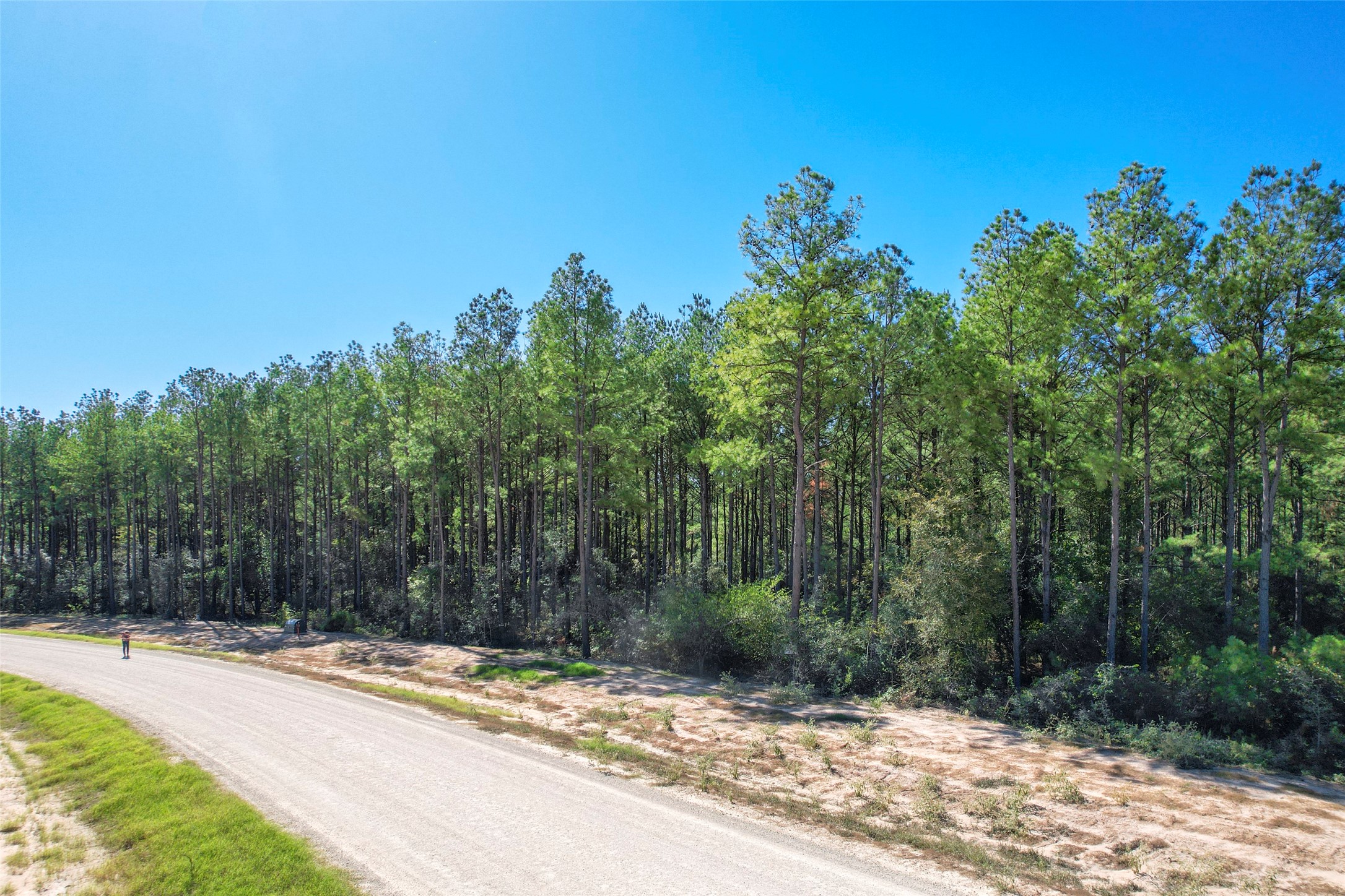 15409 Forest Grove Drive Property Photo 11