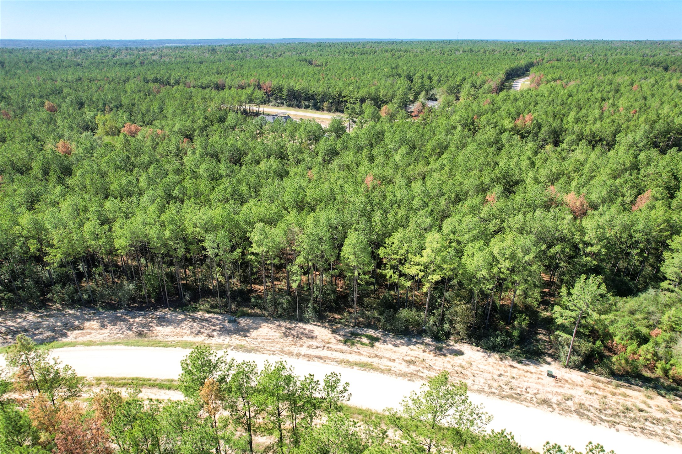 15409 Forest Grove Drive Property Photo 12