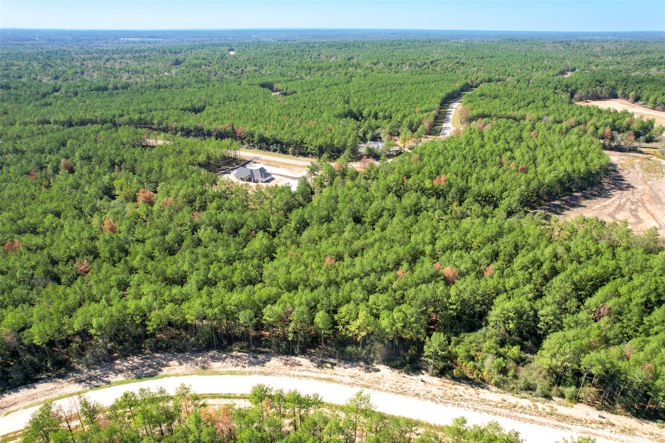 15409 Forest Grove Drive Property Photo 14