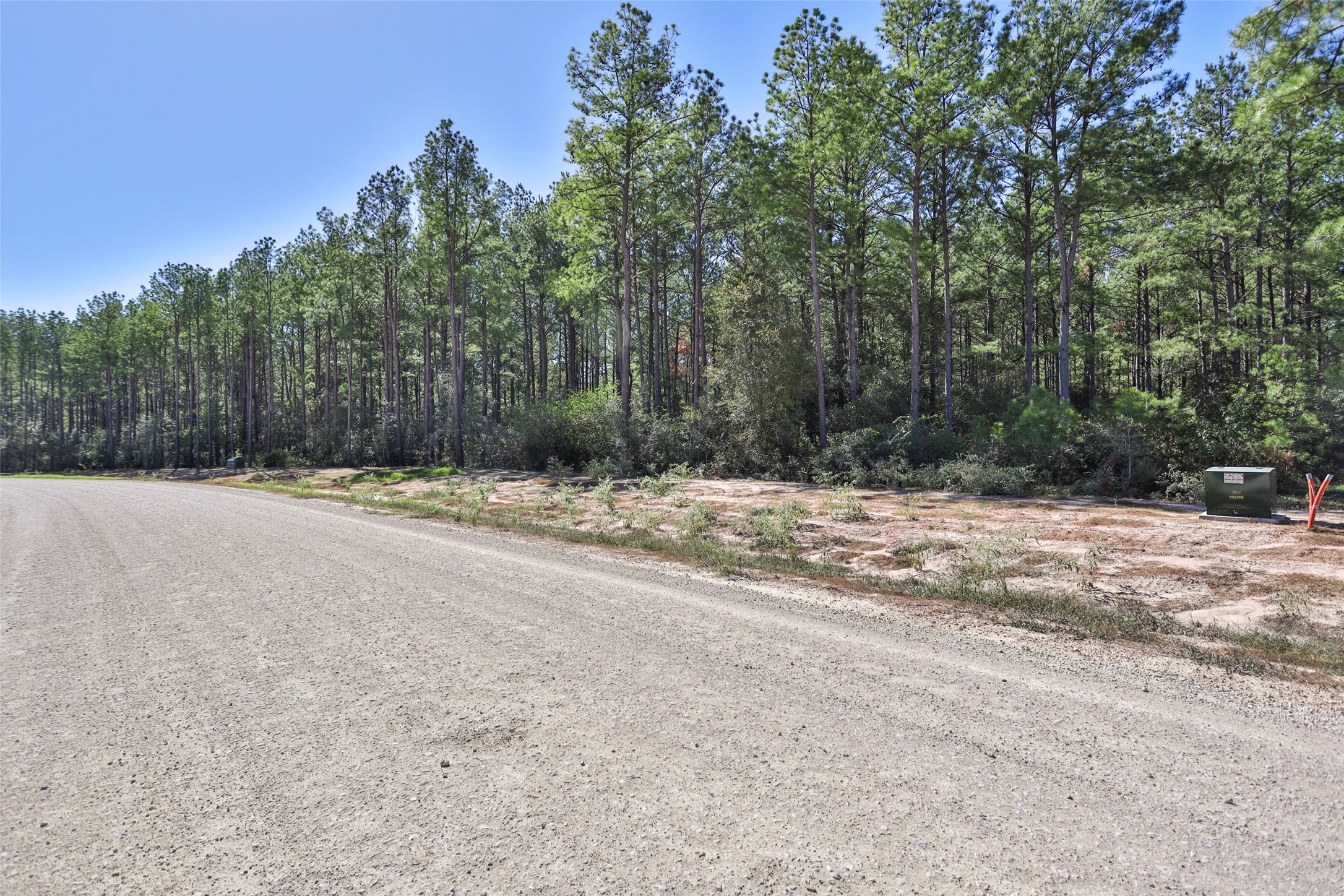 15409 Forest Grove Drive Property Photo 19