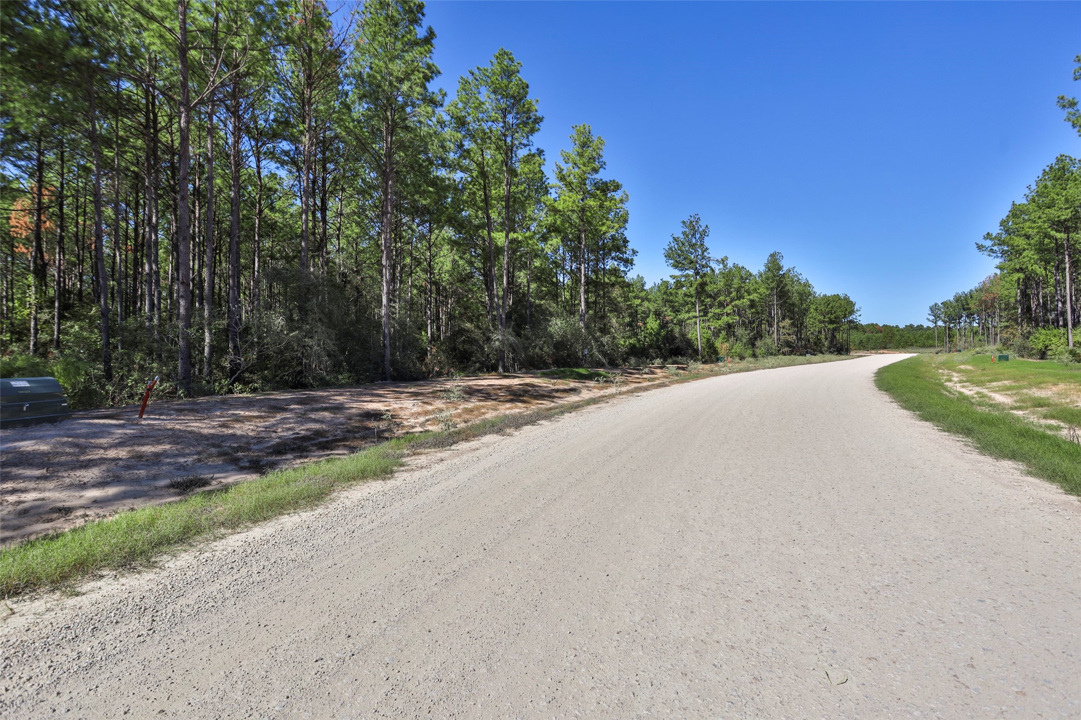 15409 Forest Grove Drive Property Photo 20