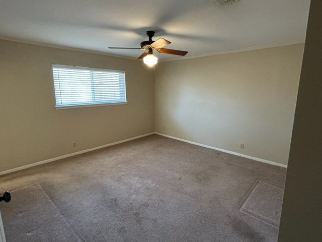 1132 Mahlmann Street Property Photo 20