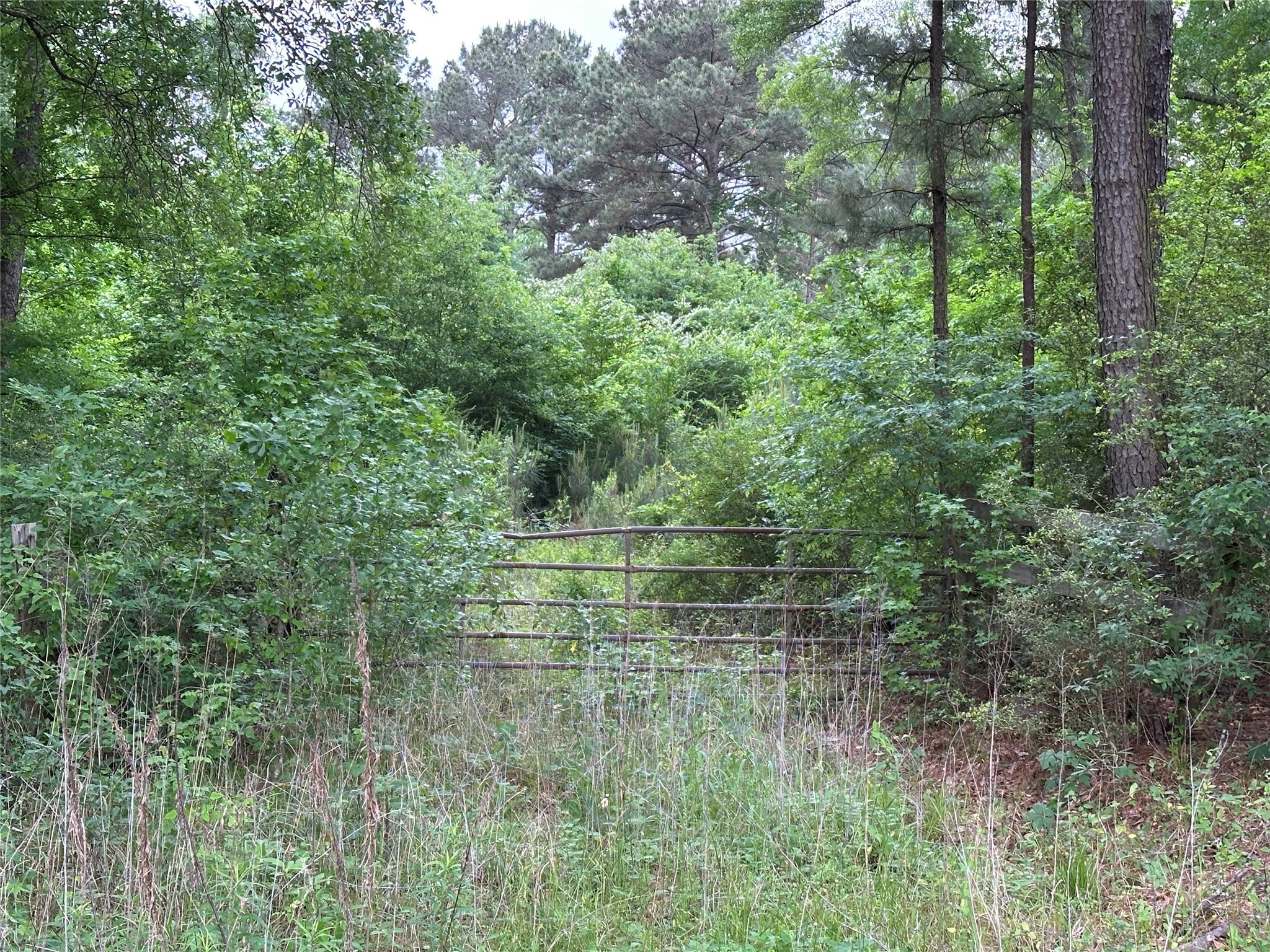 0 Bailey Grove Road Property Photo 1
