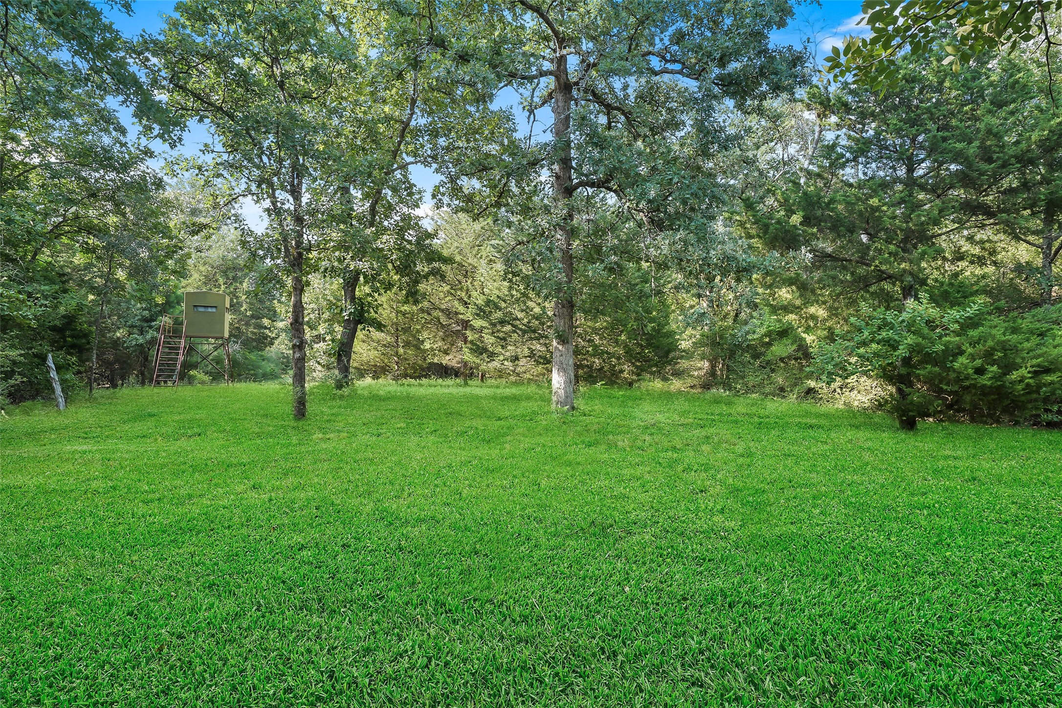 12313 N Sh-19 Property Photo 47