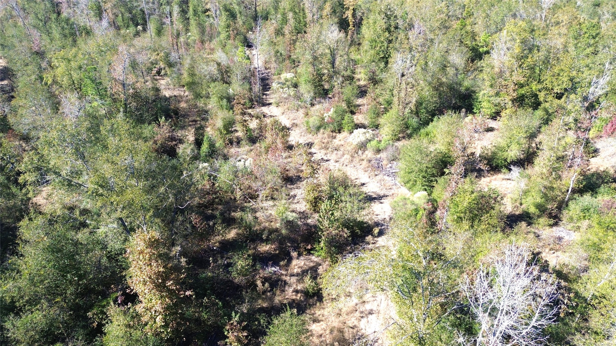 Tbd Fm 1280 East Property Photo 1