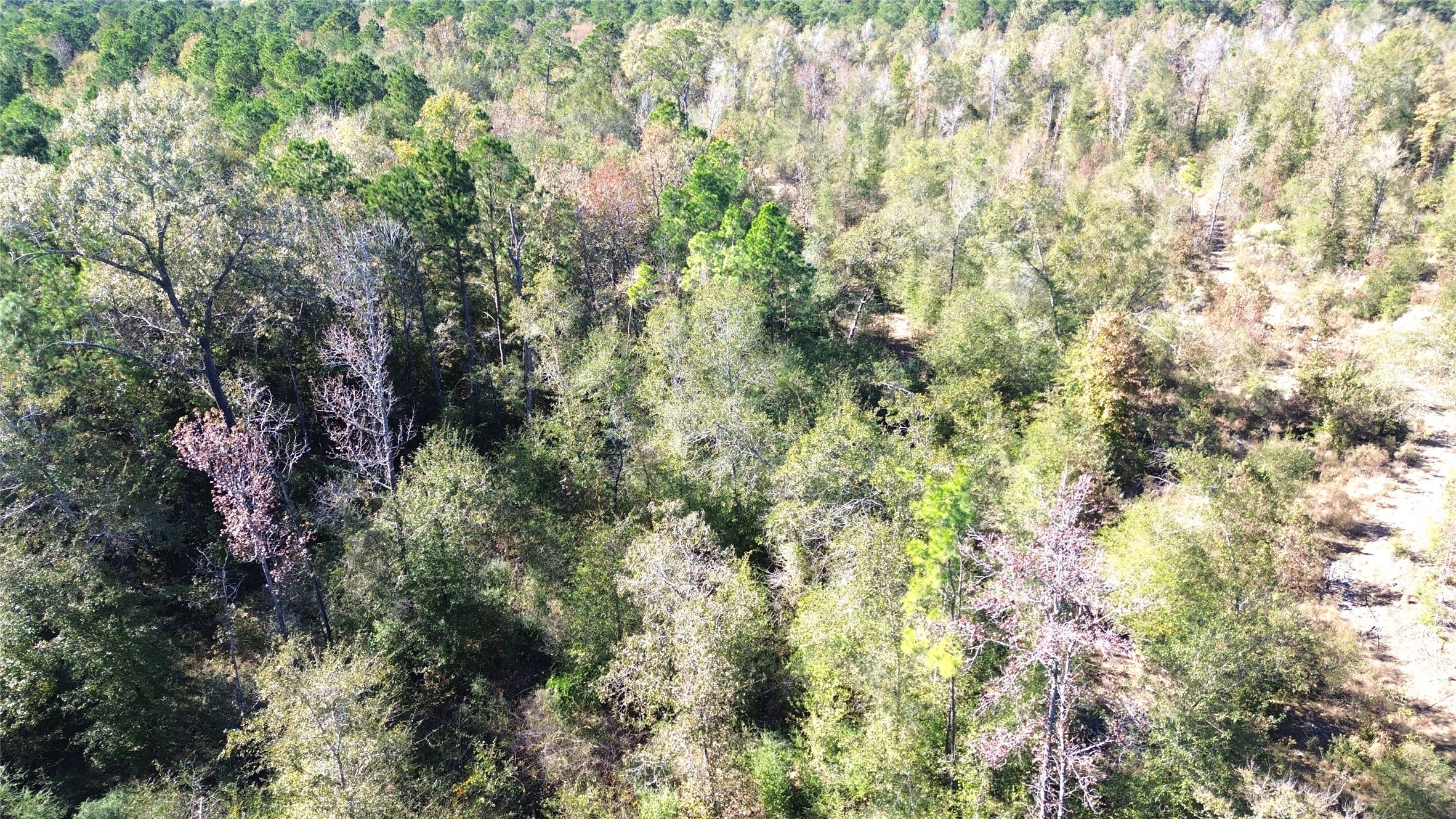 Tbd Fm 1280 East Property Photo 5