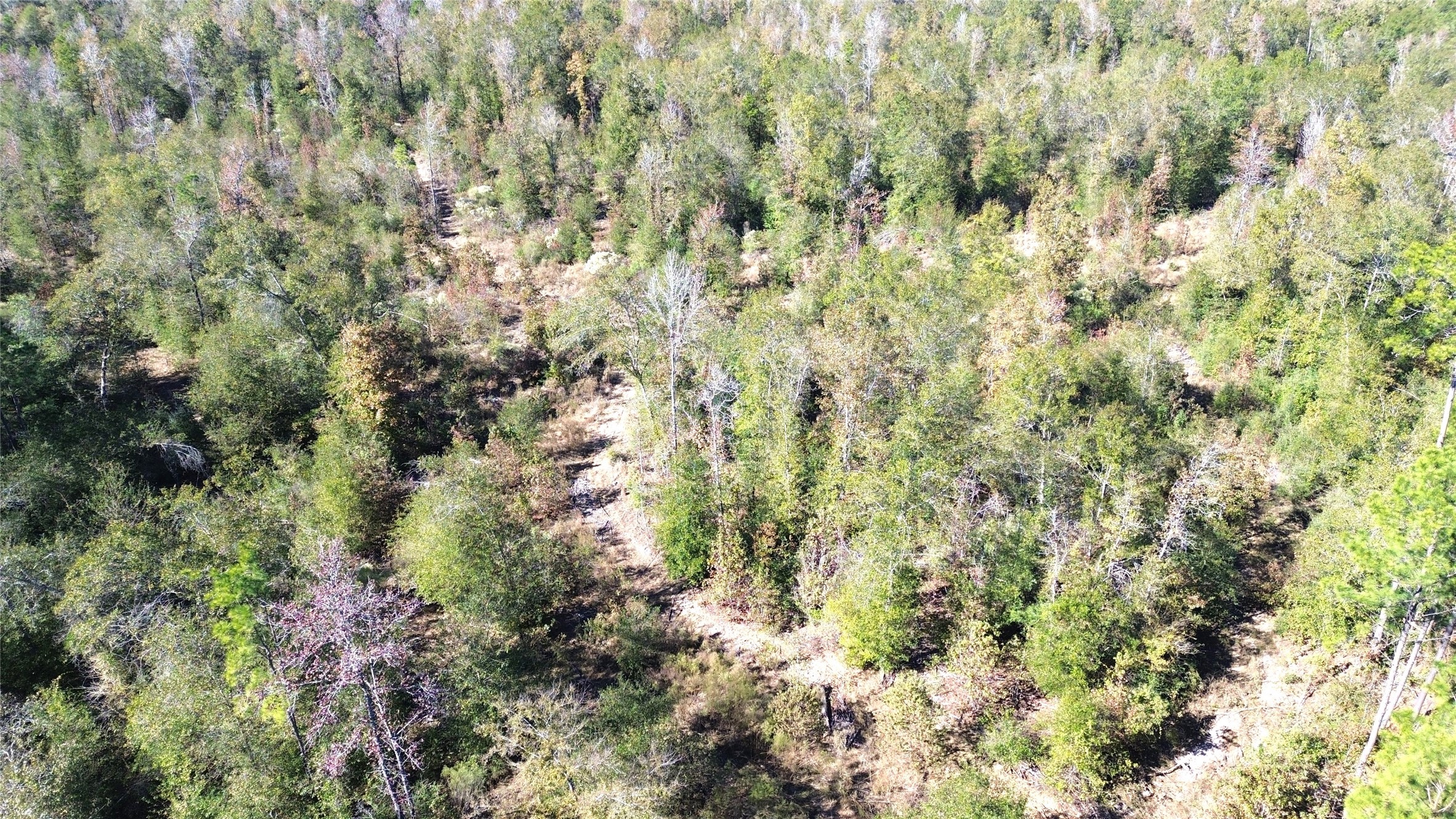 Tbd Fm 1280 East Property Photo 11