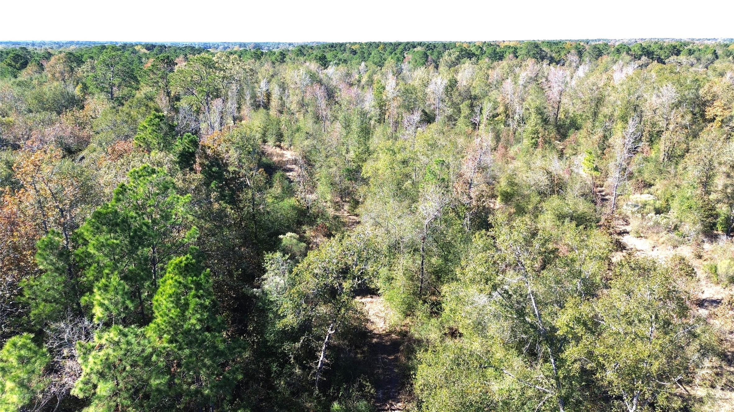Tbd Fm 1280 East Property Photo 13