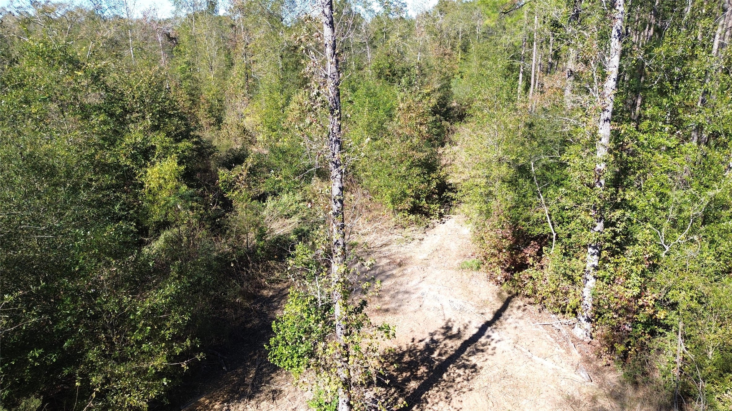 Tbd Fm 1280 East Property Photo 17