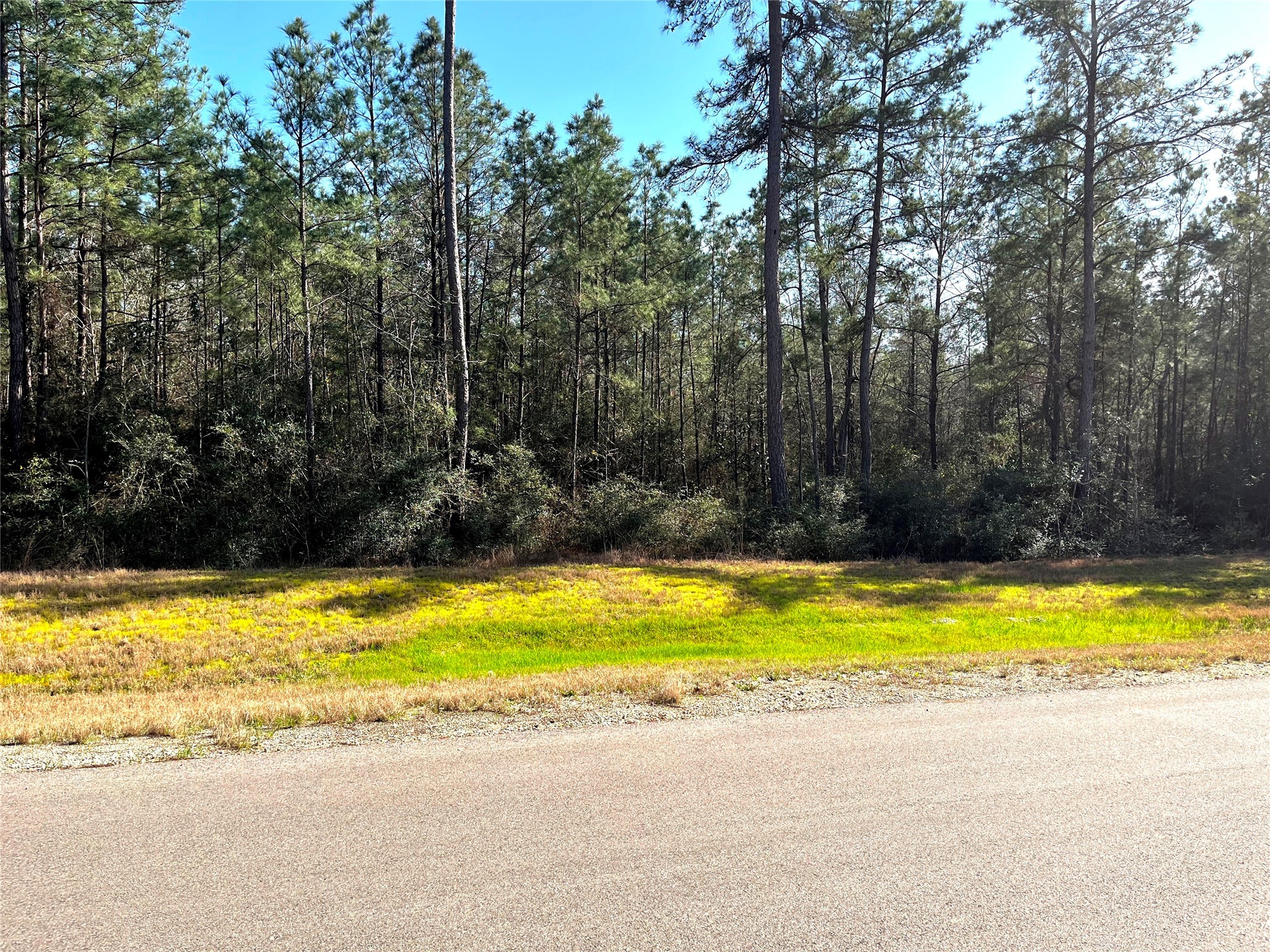 228 Exploration Road Property Photo 3