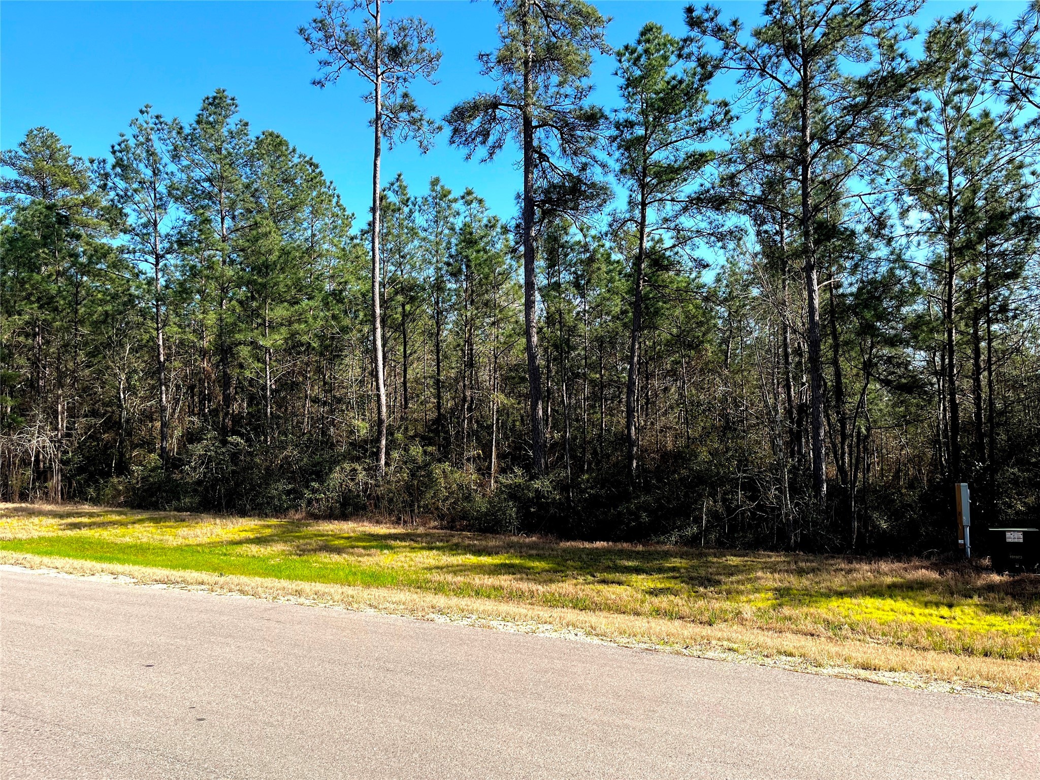 228 Exploration Road Property Photo 4