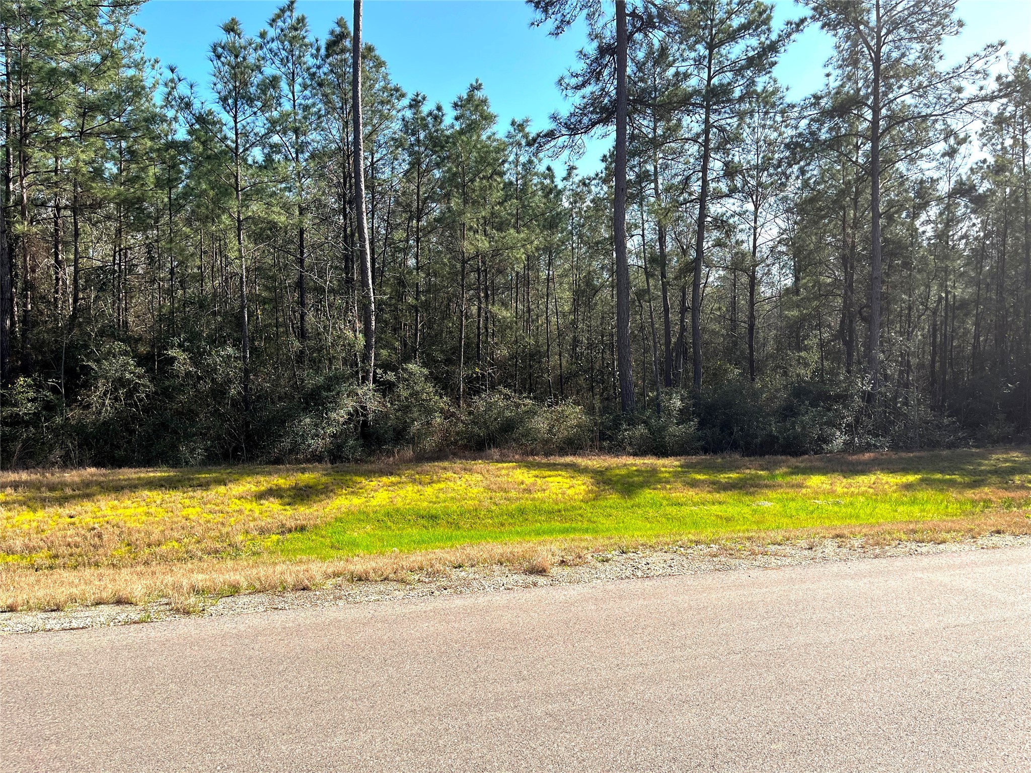 228 Exploration Road Property Photo 5