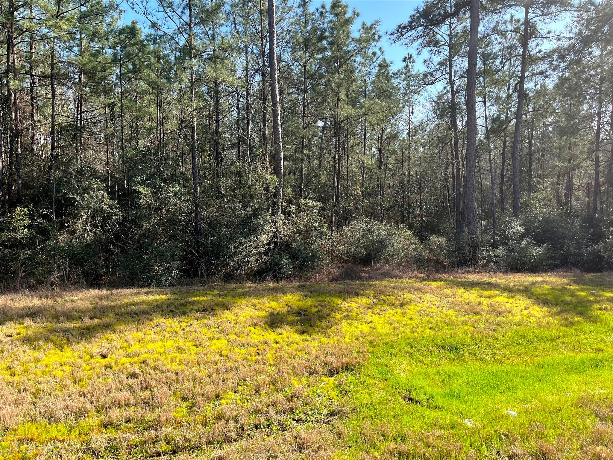 228 Exploration Road Property Photo 7