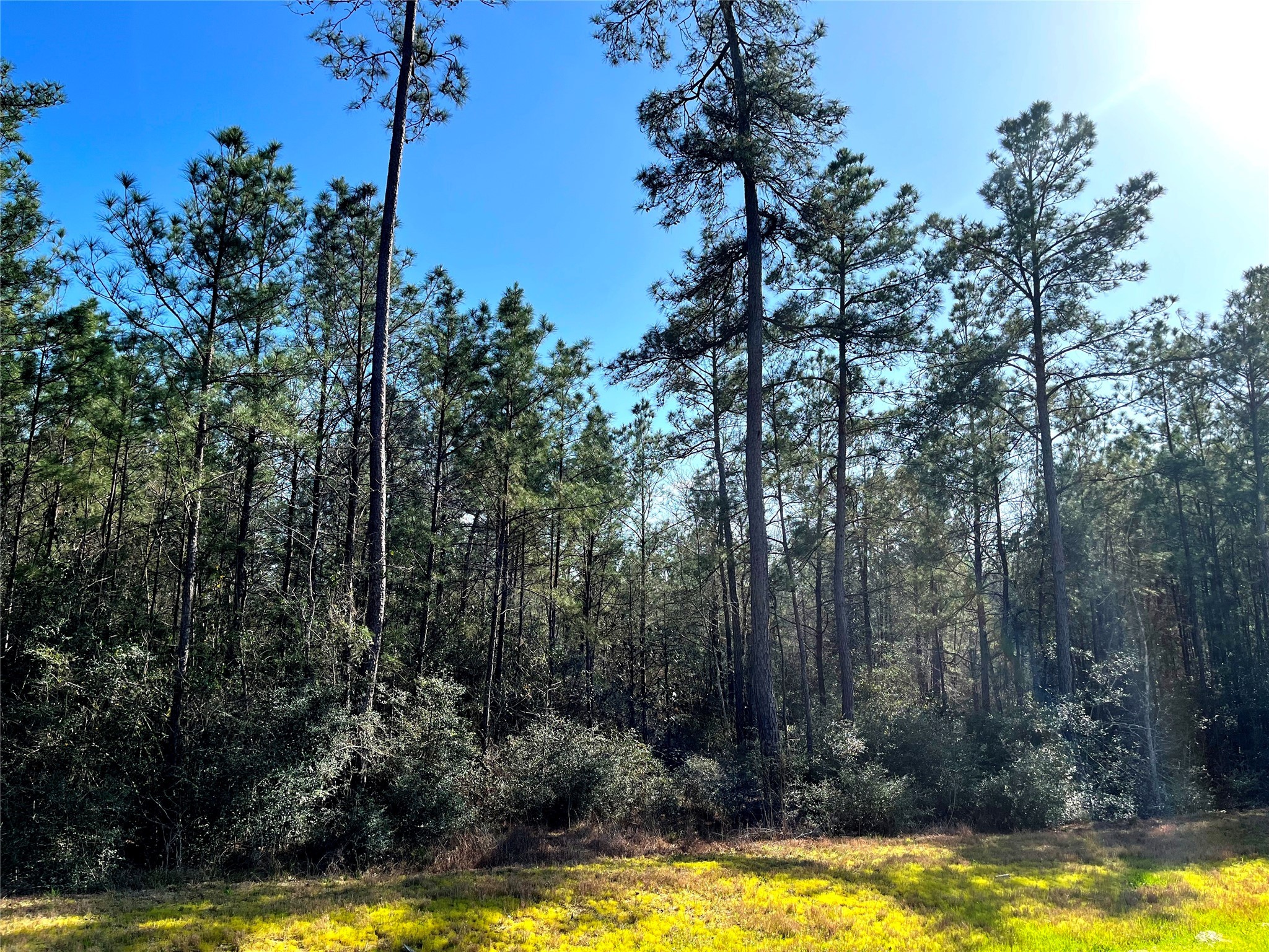 228 Exploration Road Property Photo 8