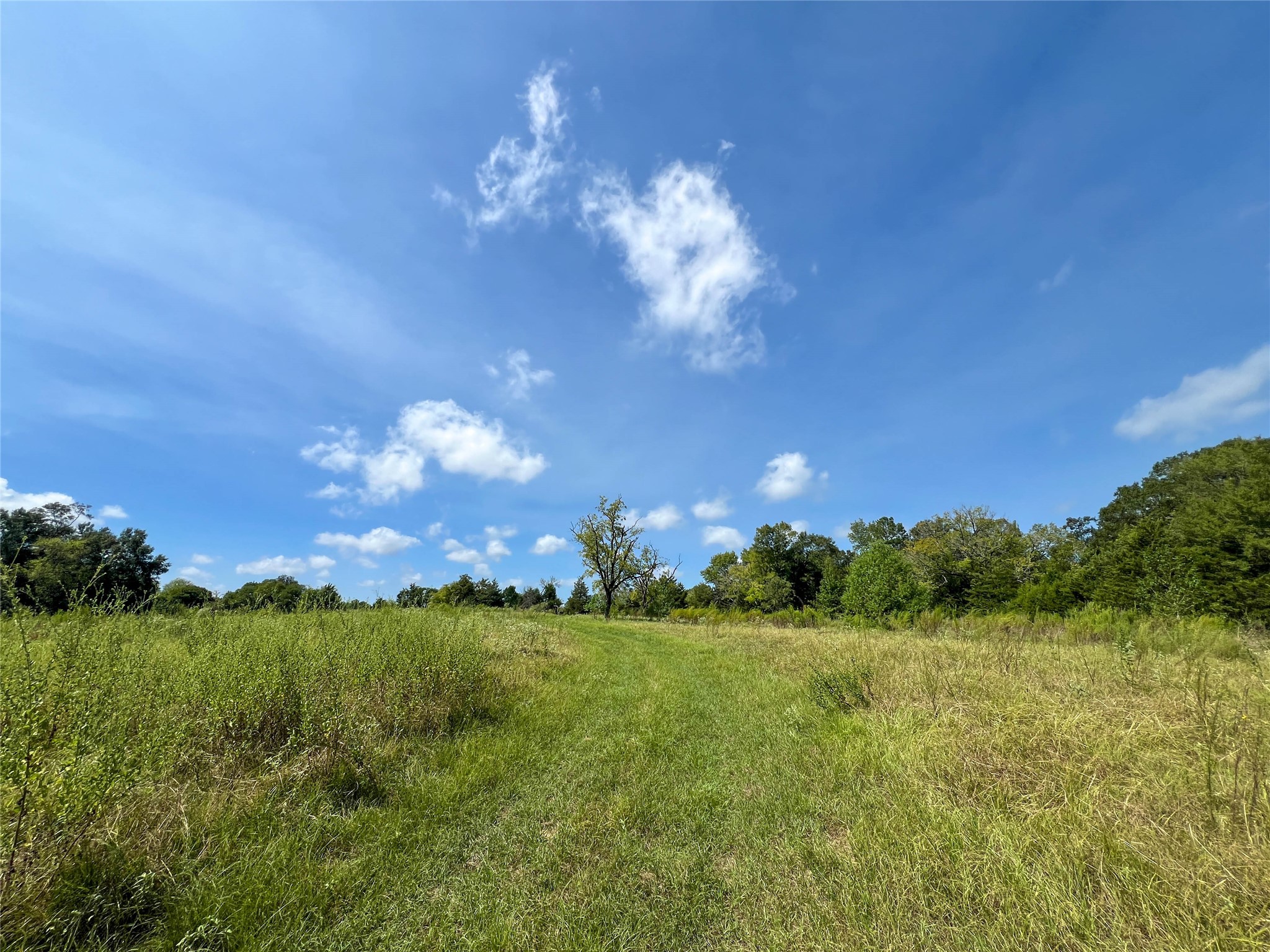 1 County Road 3330 Property Photo 4