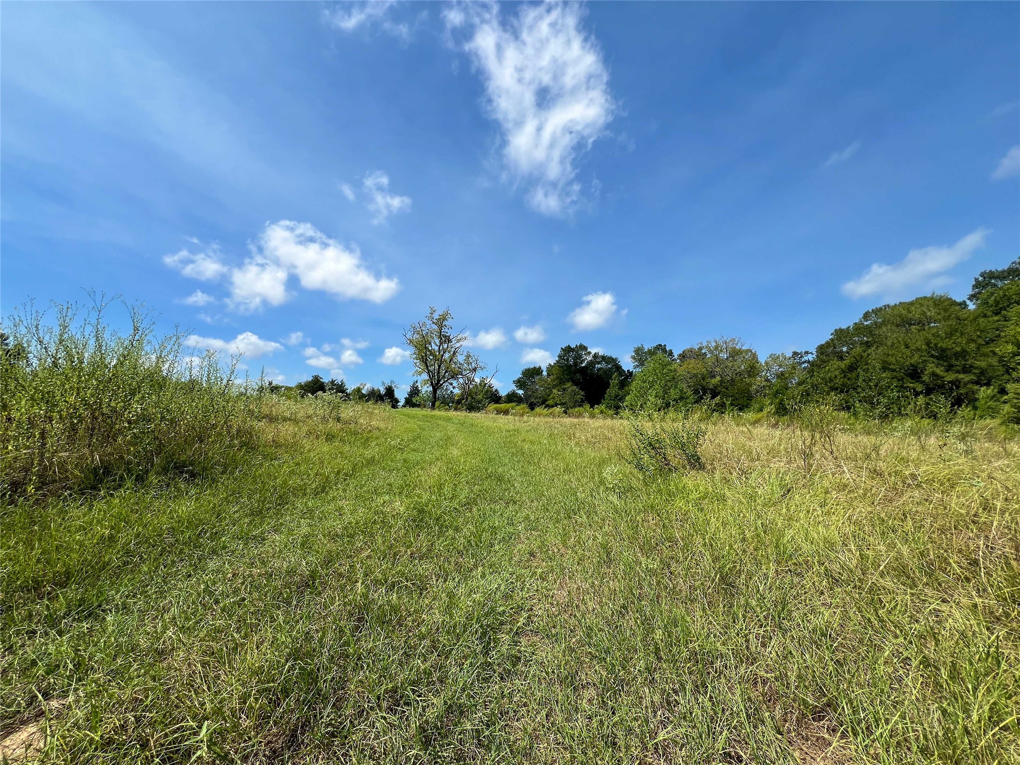 1 County Road 3330 Property Photo 6