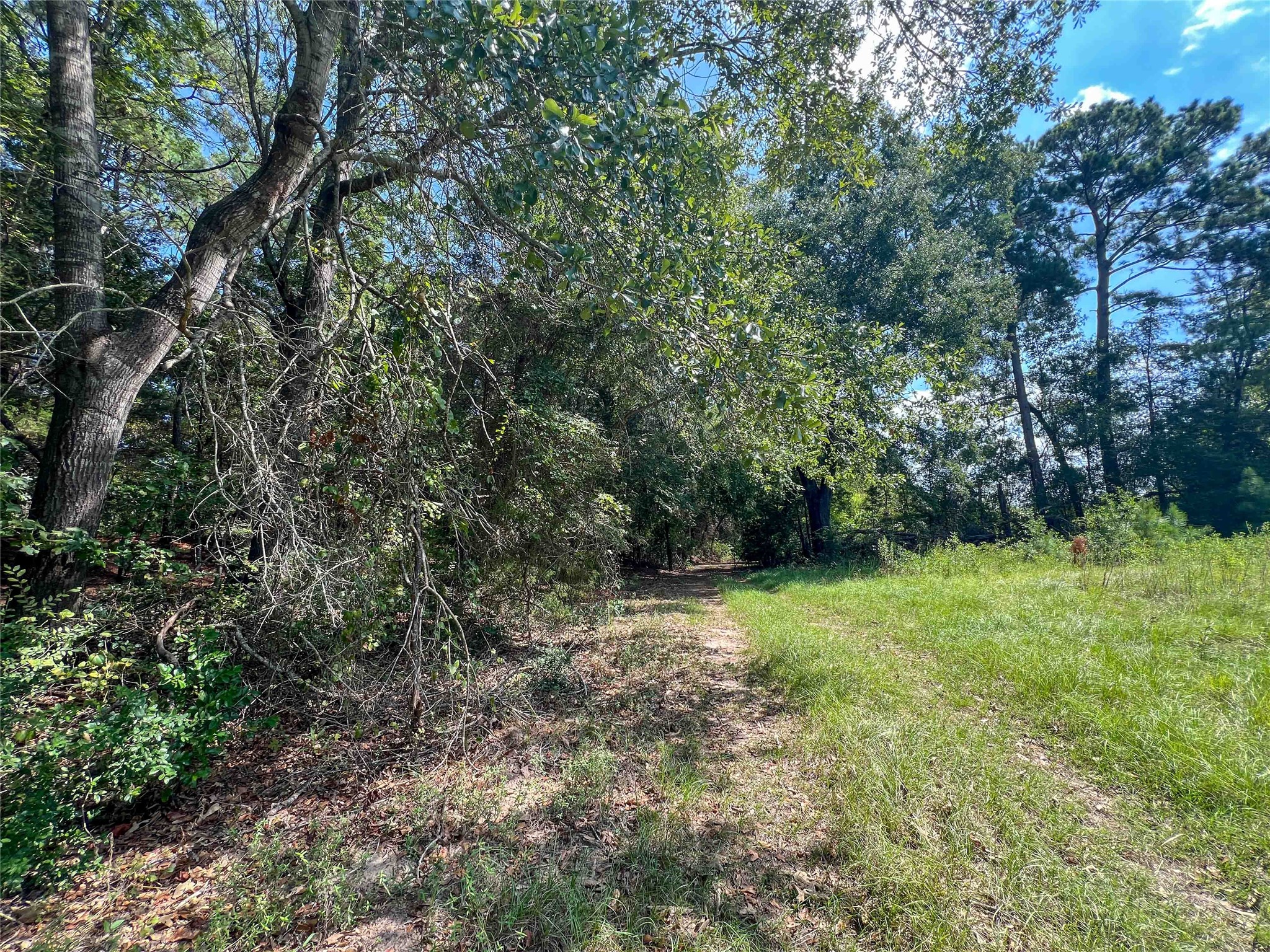 1 County Road 3330 Property Photo 8