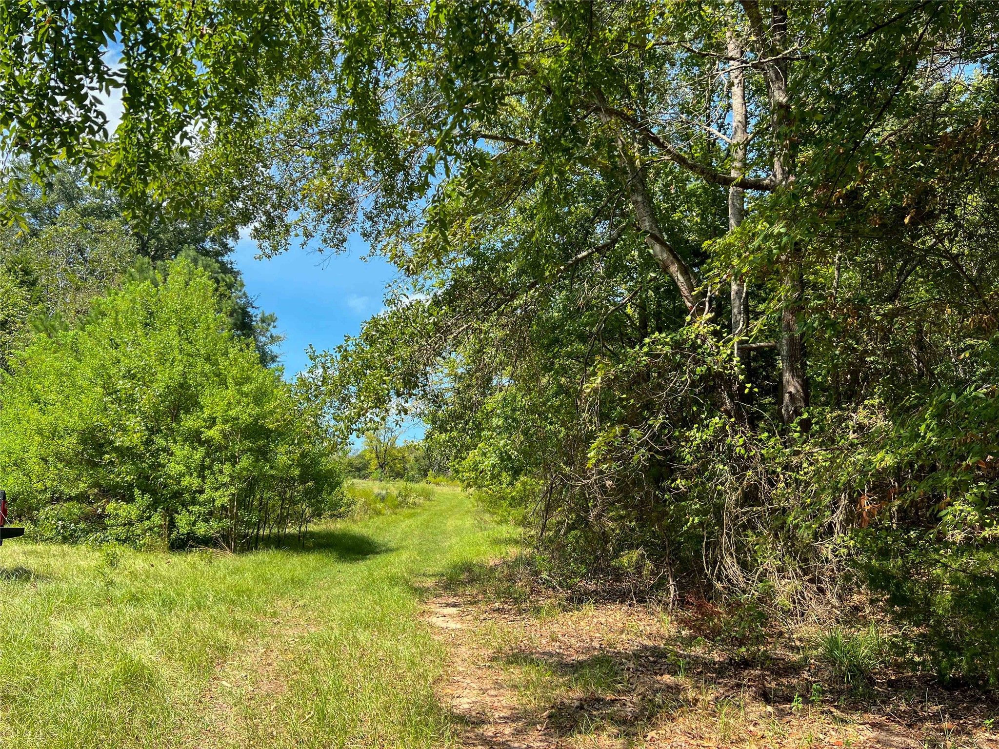 1 County Road 3330 Property Photo 9