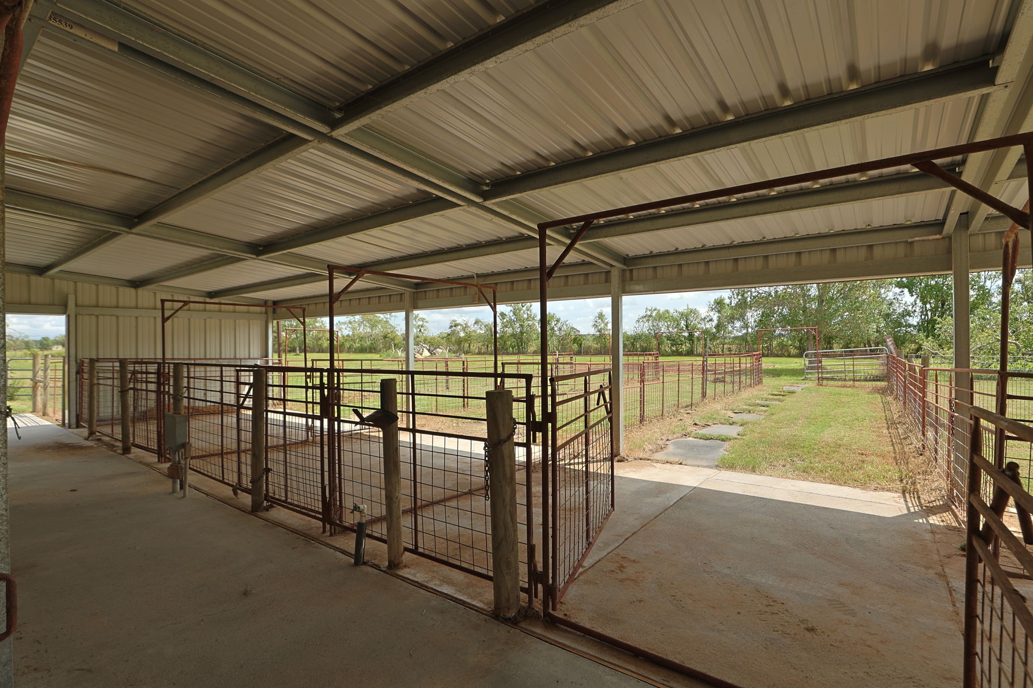 3755 County Road 160 Property Photo 43