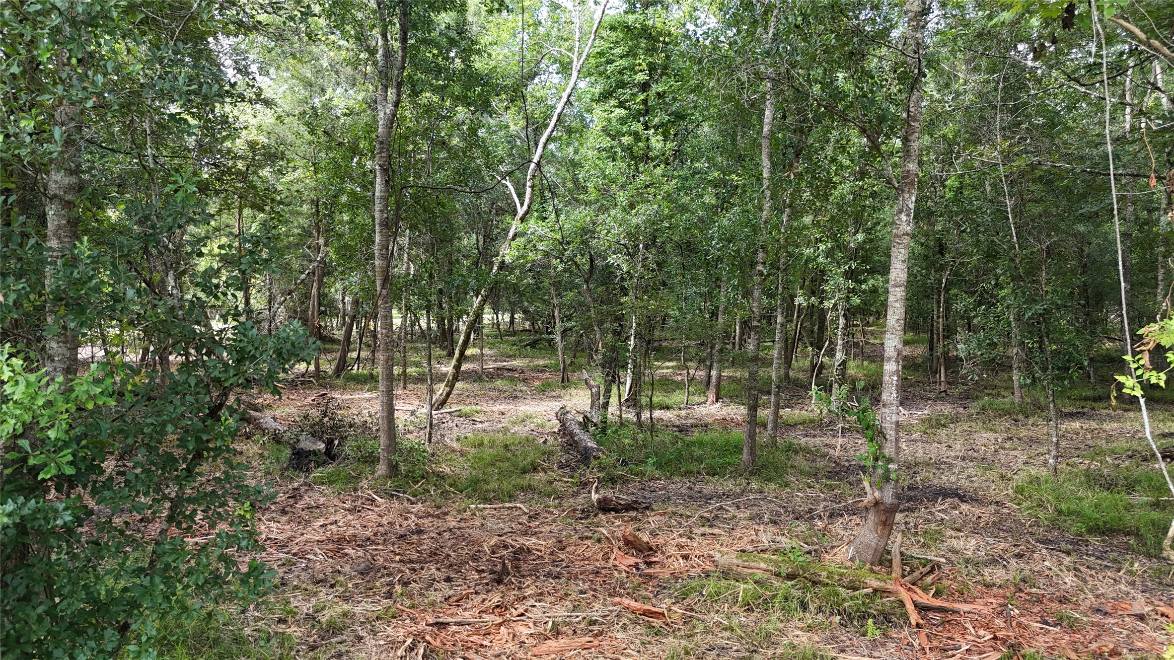 Tbd 00 County Road 647 Property Photo 2