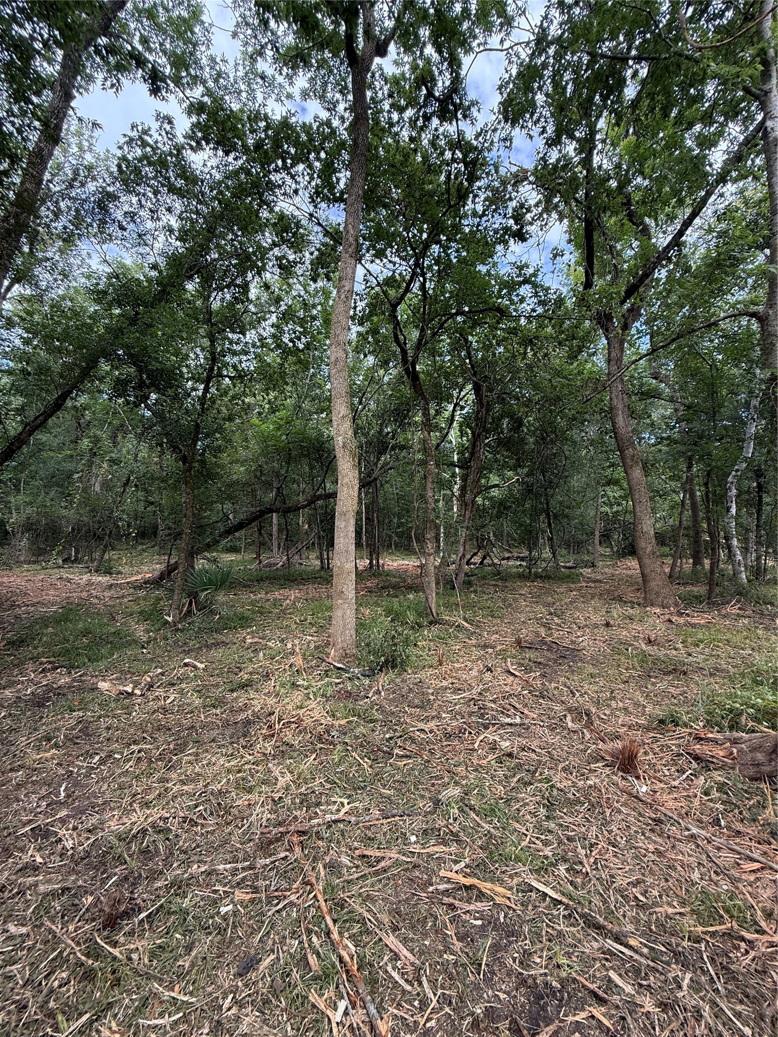 Tbd 00 County Road 647 Property Photo 4