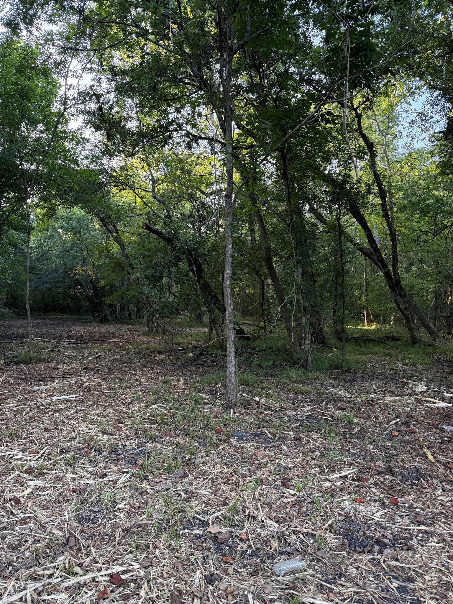 Tbd 00 County Road 647 Property Photo 5