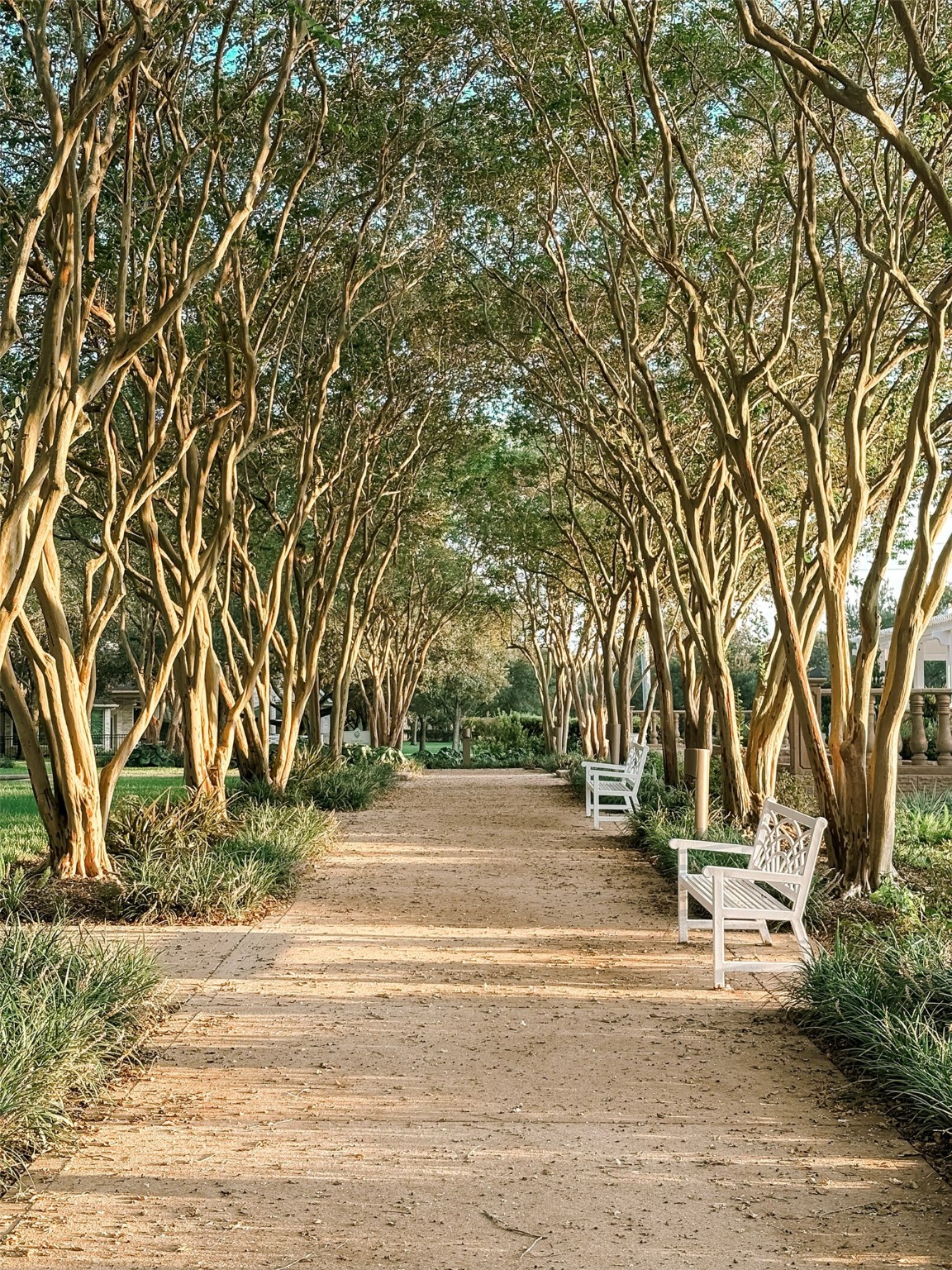 6131 Rachels Court Property Photo 30