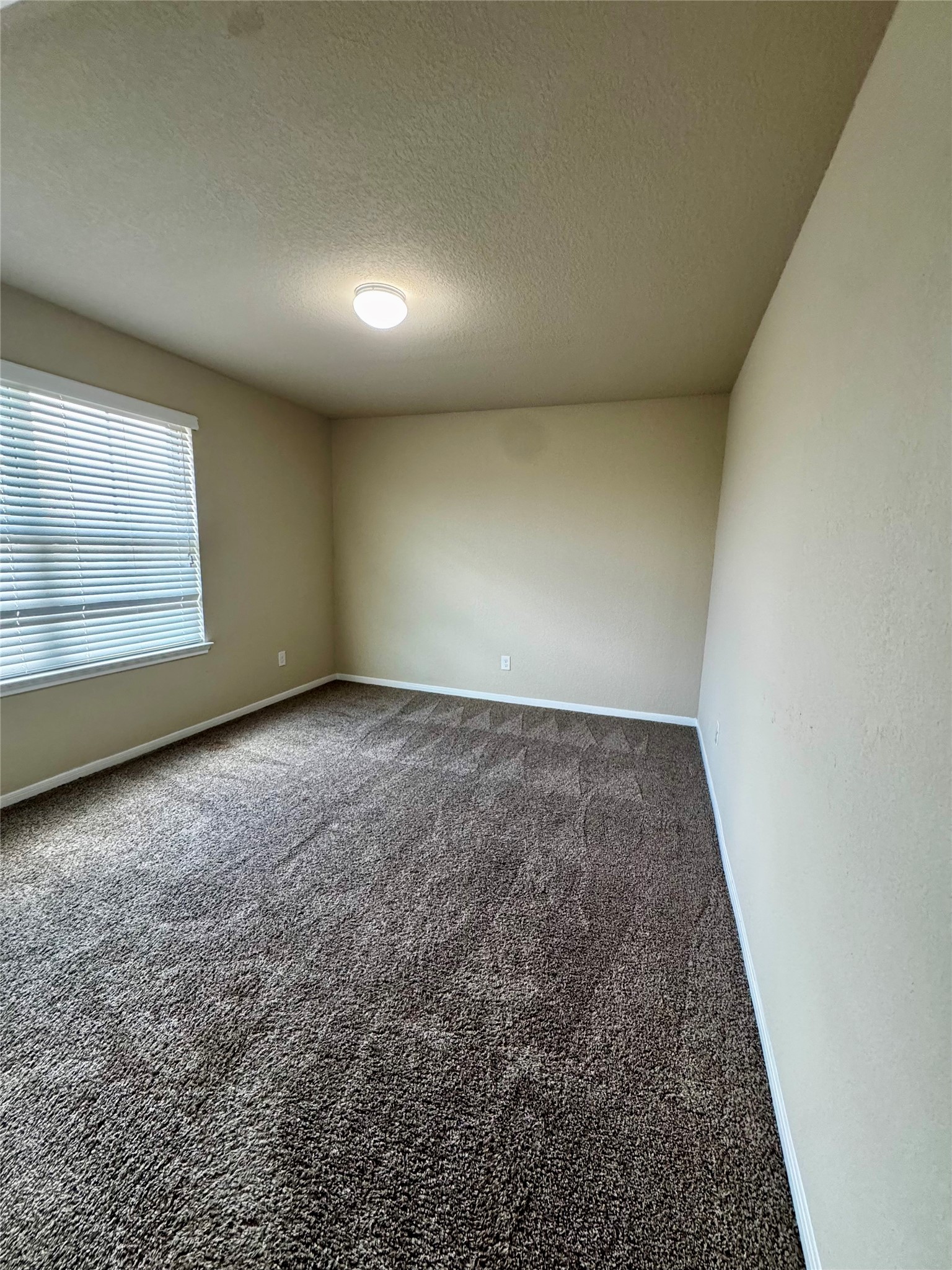 2903 Mcdonough Way Property Photo 13