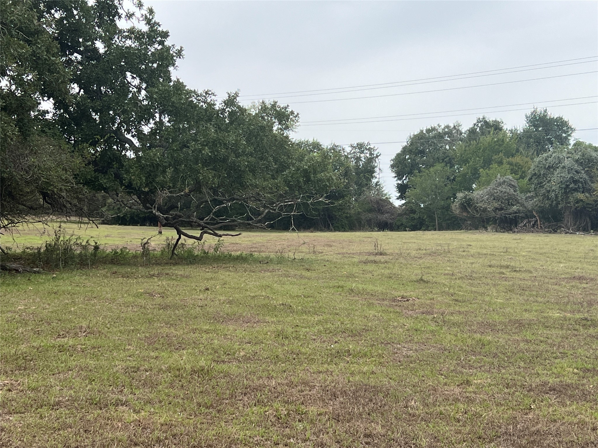 Lot 2 County Road 166 Property Photo 10