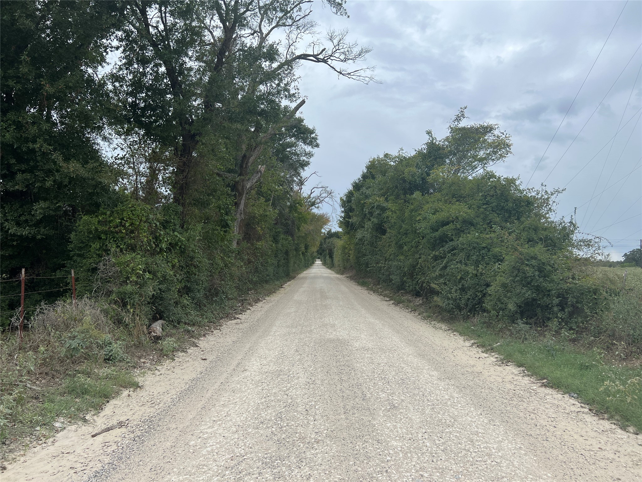 Lot 2 County Road 166 Property Photo 12