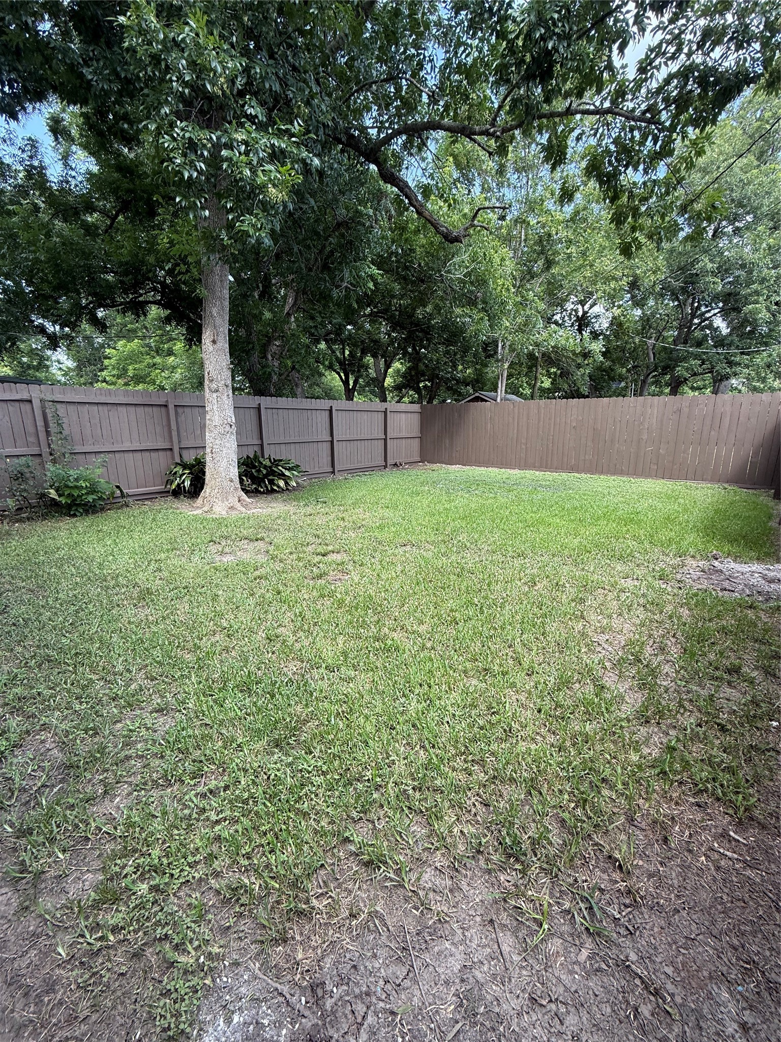 1102 E 2nd Street Property Photo 12