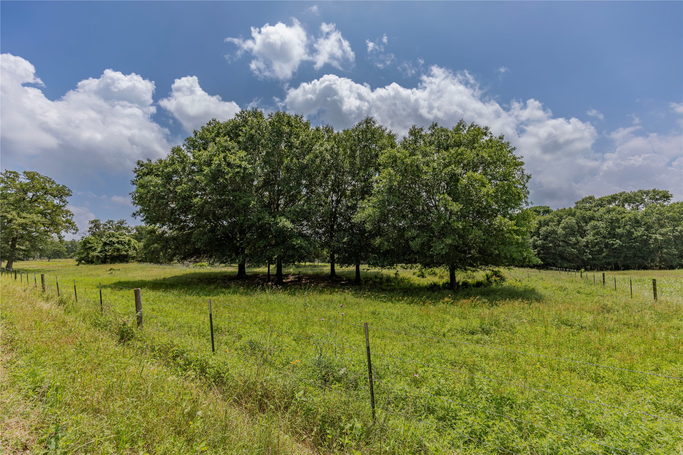 LOT 2 Mill Creek Ranch Road Property Photo 1