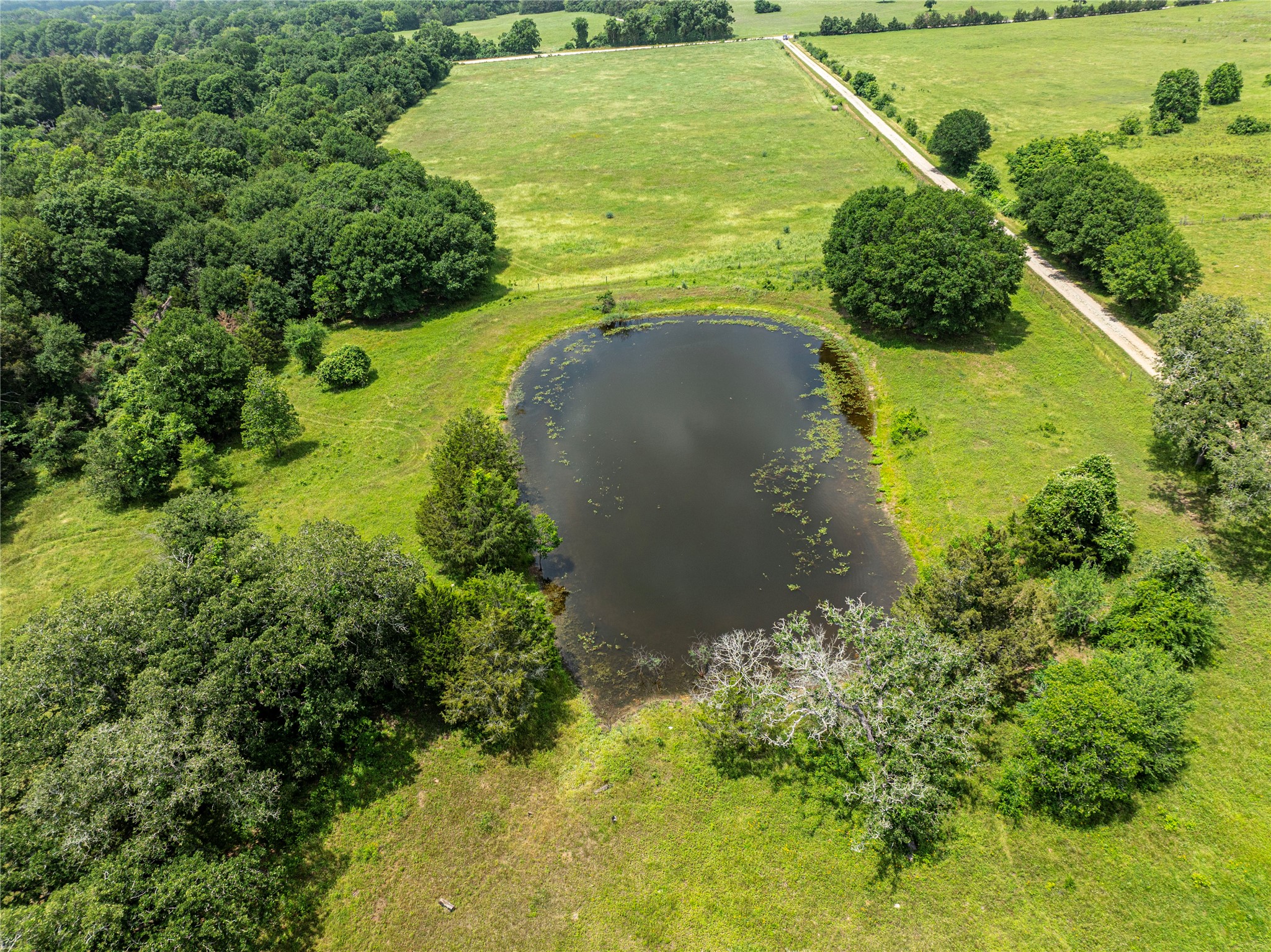 Lot 2 Mill Creek Ranch Road Property Photo 7