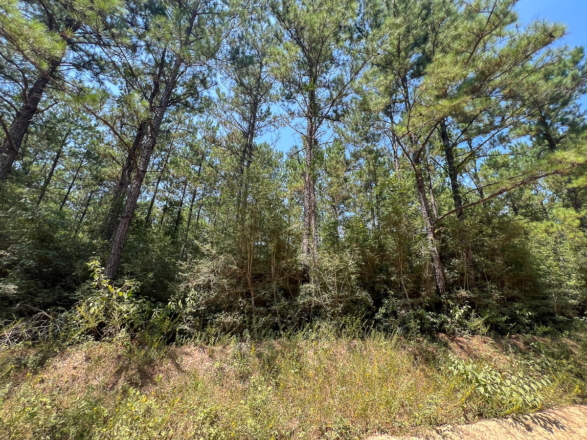 3 County Road 3230 Property Photo 10