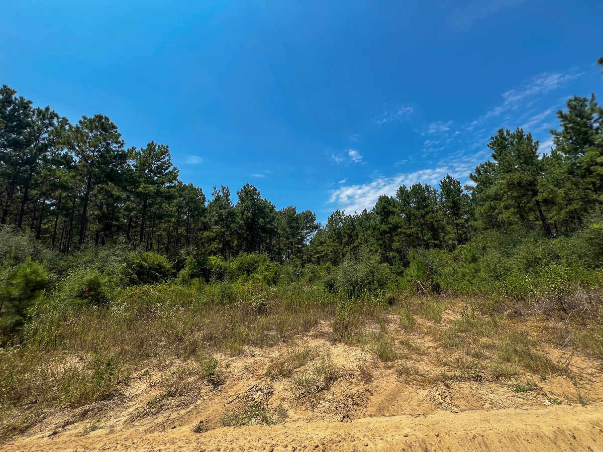 3 County Road 3230 Property Photo 11