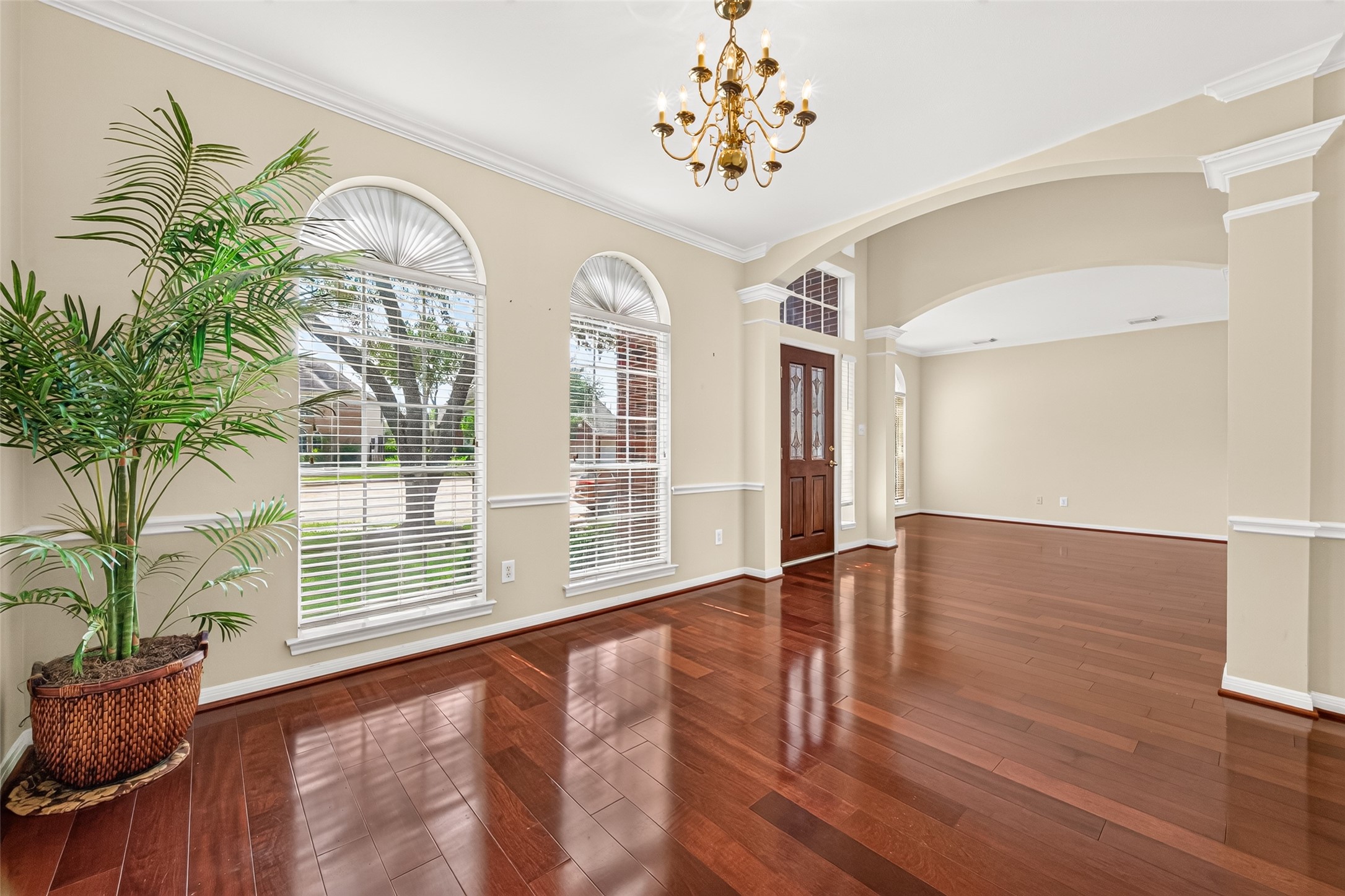 1711 Emma Cove Court Property Photo 11