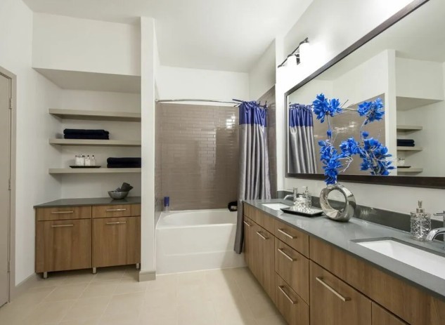 2111 Westheimer Road 1107 Property Photo 6