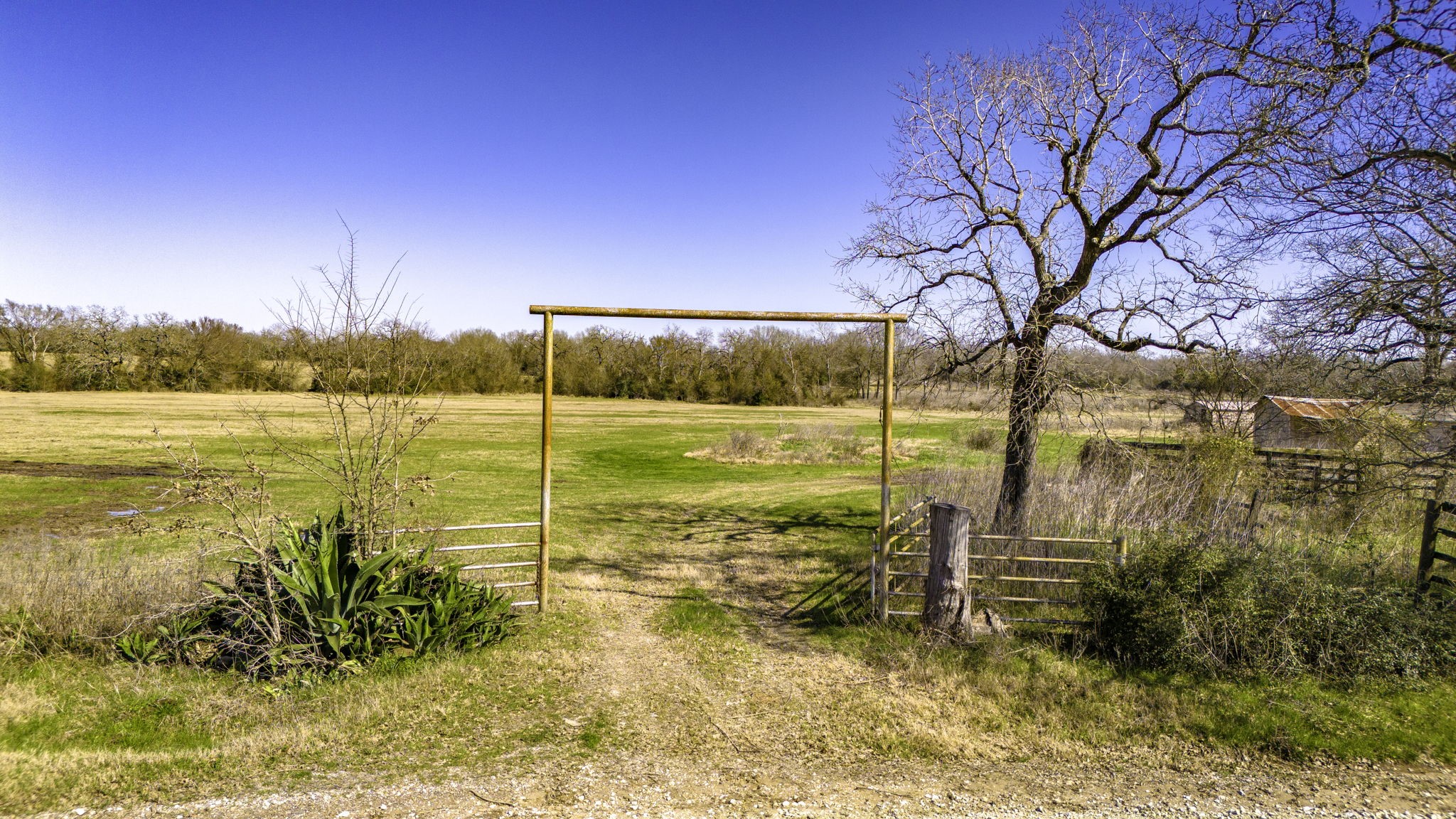 3333 Malone Road Property Photo