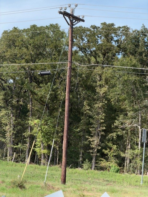 000 Wood Forest Property Photo 12