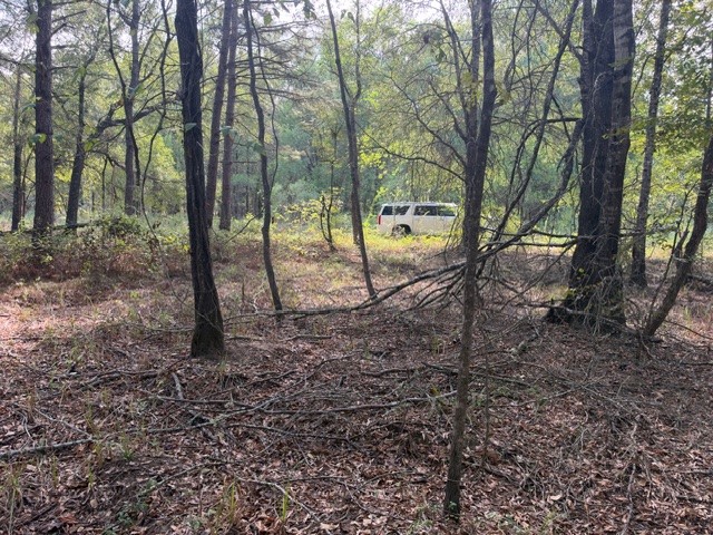 000 Wood Forest Property Photo 16