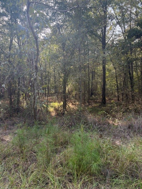 000 Wood Forest Property Photo 23