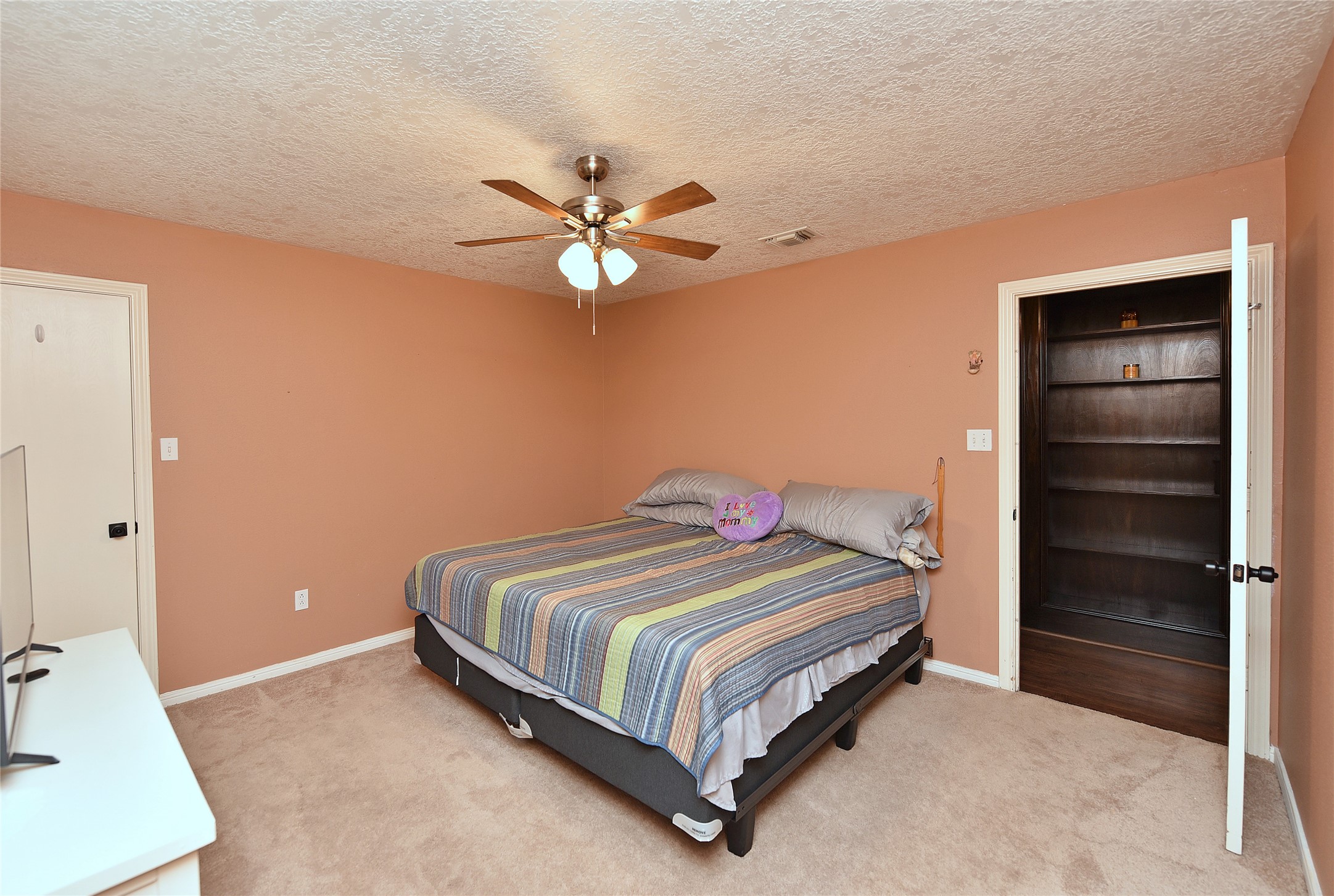 10031 Cabin Creek Drive Property Photo 22