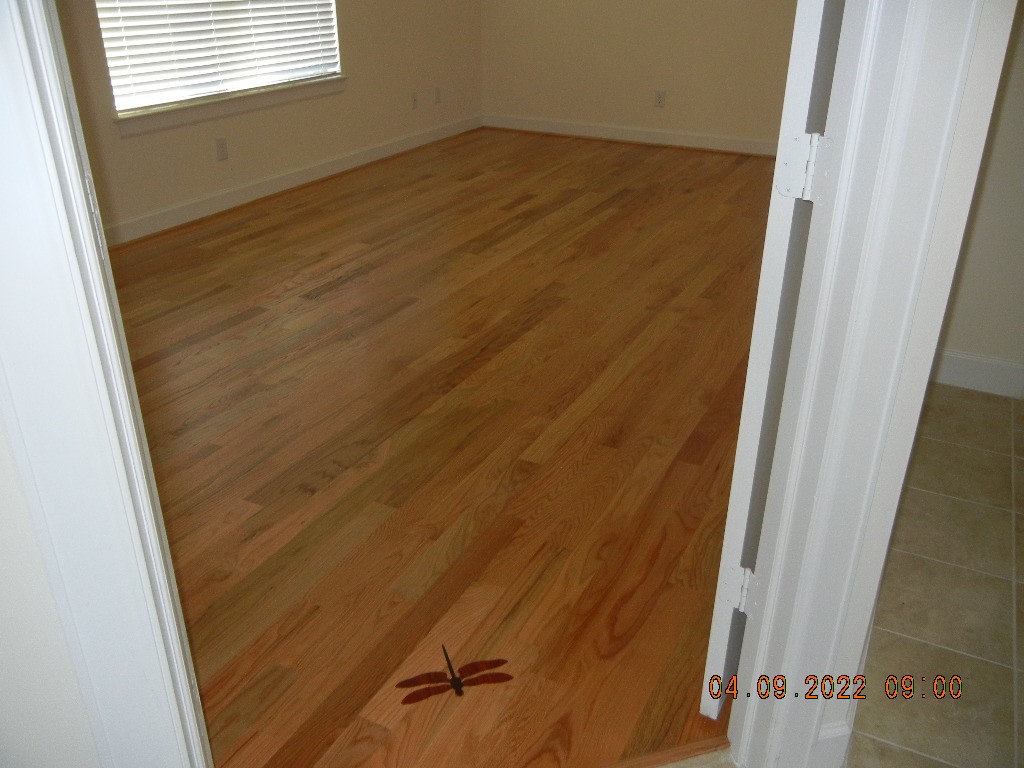 11603 Main Cypress Drive Property Photo 7