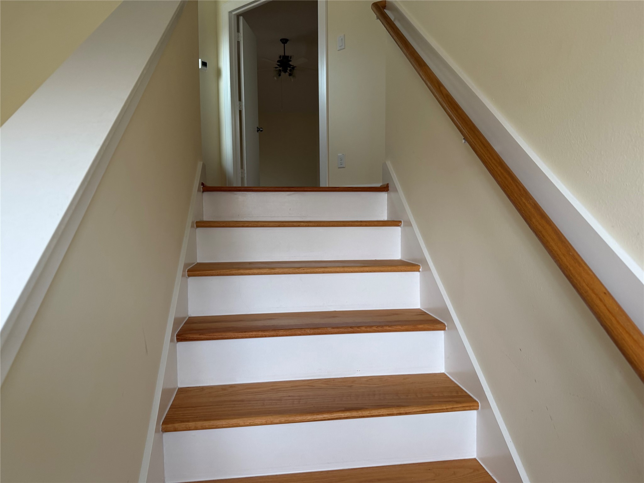 11603 Main Cypress Drive Property Photo 16