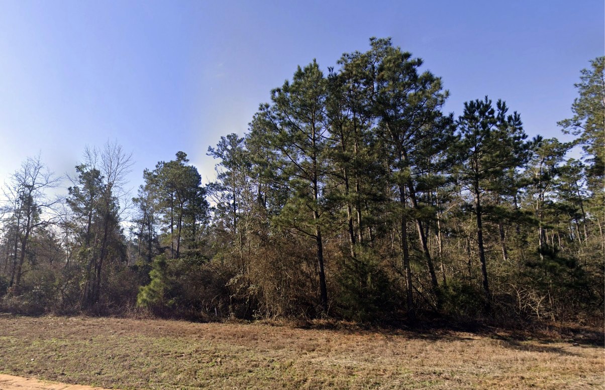 11622 Grand North Road Property Photo 3
