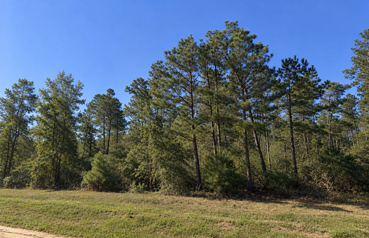 11622 Grand North Road Property Photo 3